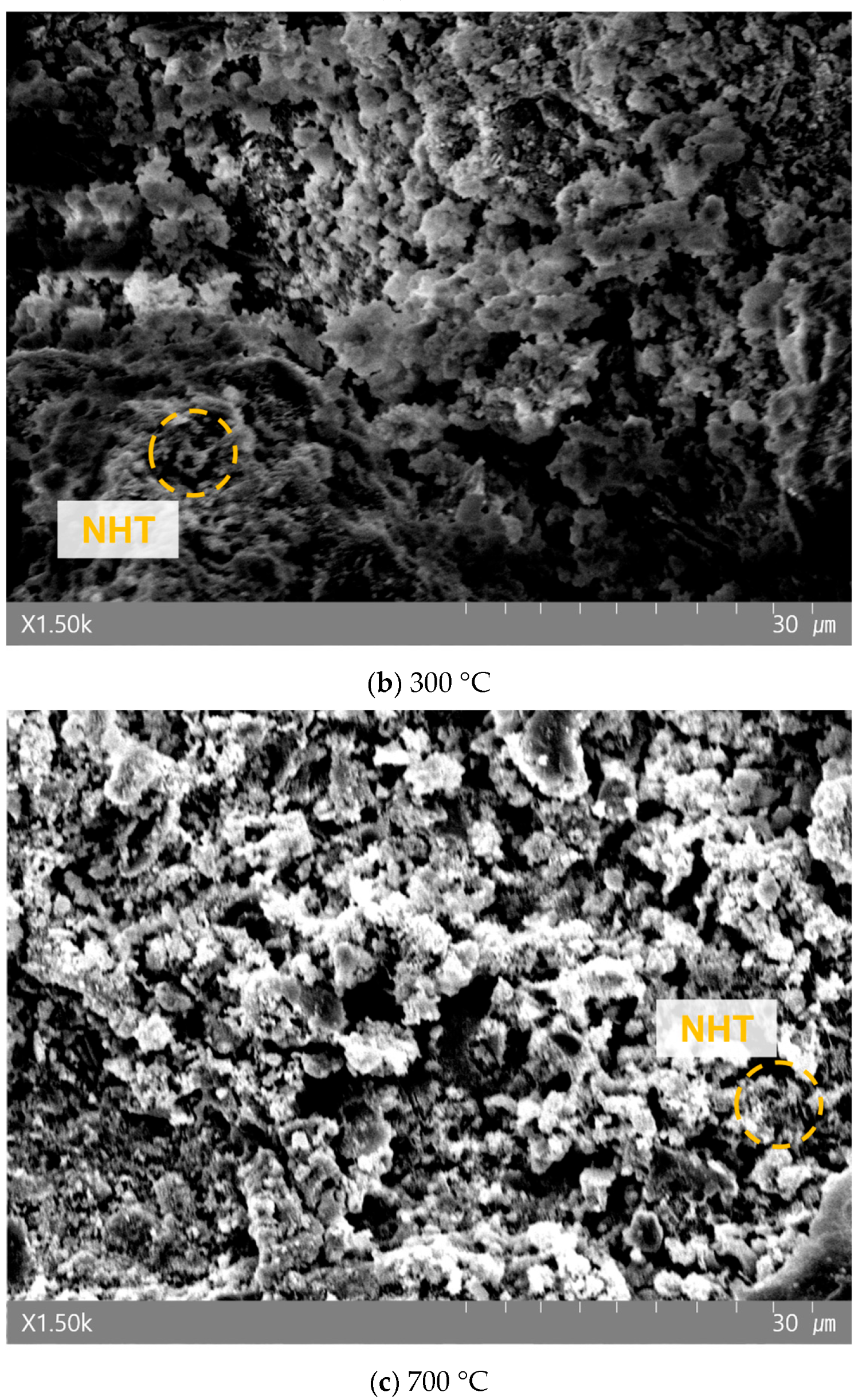 Materials 19 00724 g009b Materials 19 00724 g009b