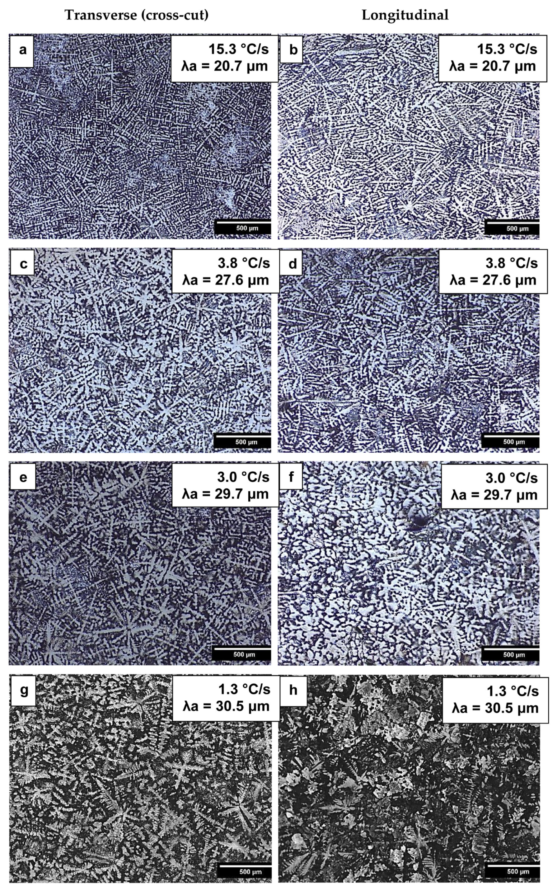Materials 19 00796 g004 Materials 19 00796 g004