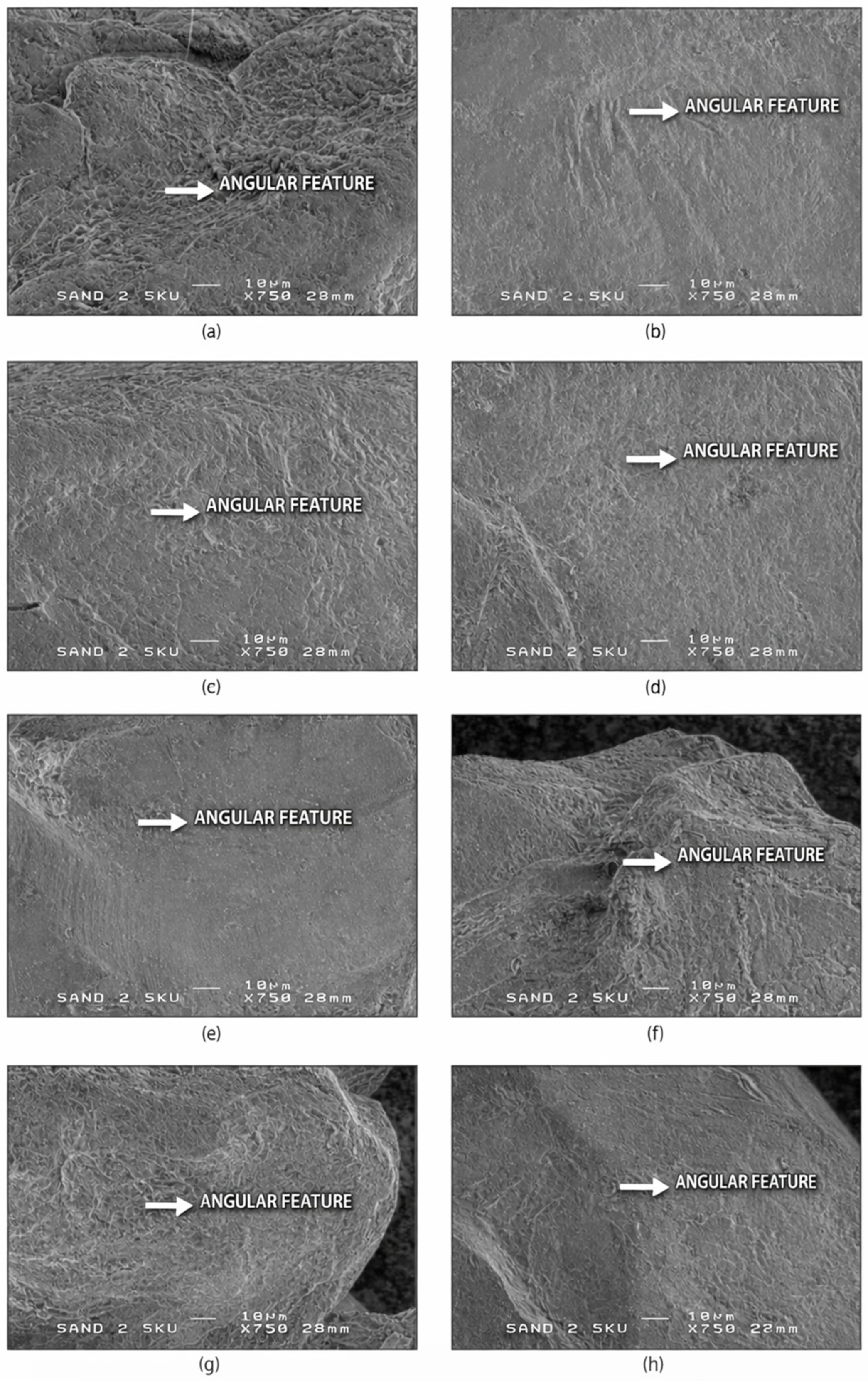 Materials 19 00809 g002 Materials 19 00809 g002