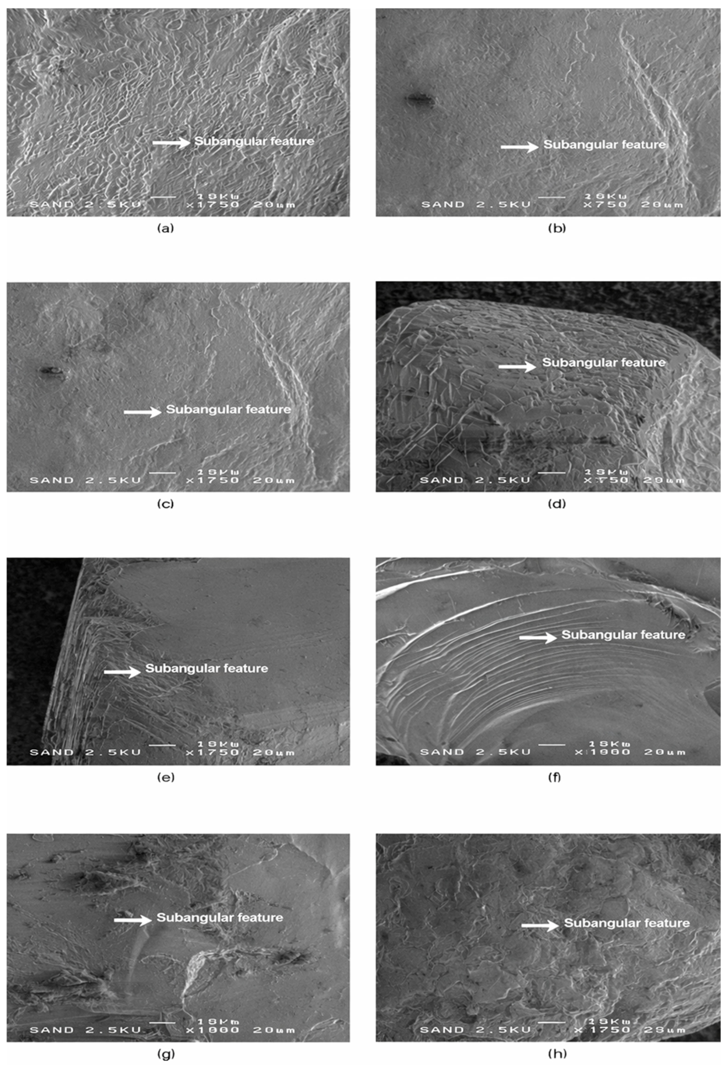 Materials 19 00809 g003 Materials 19 00809 g003