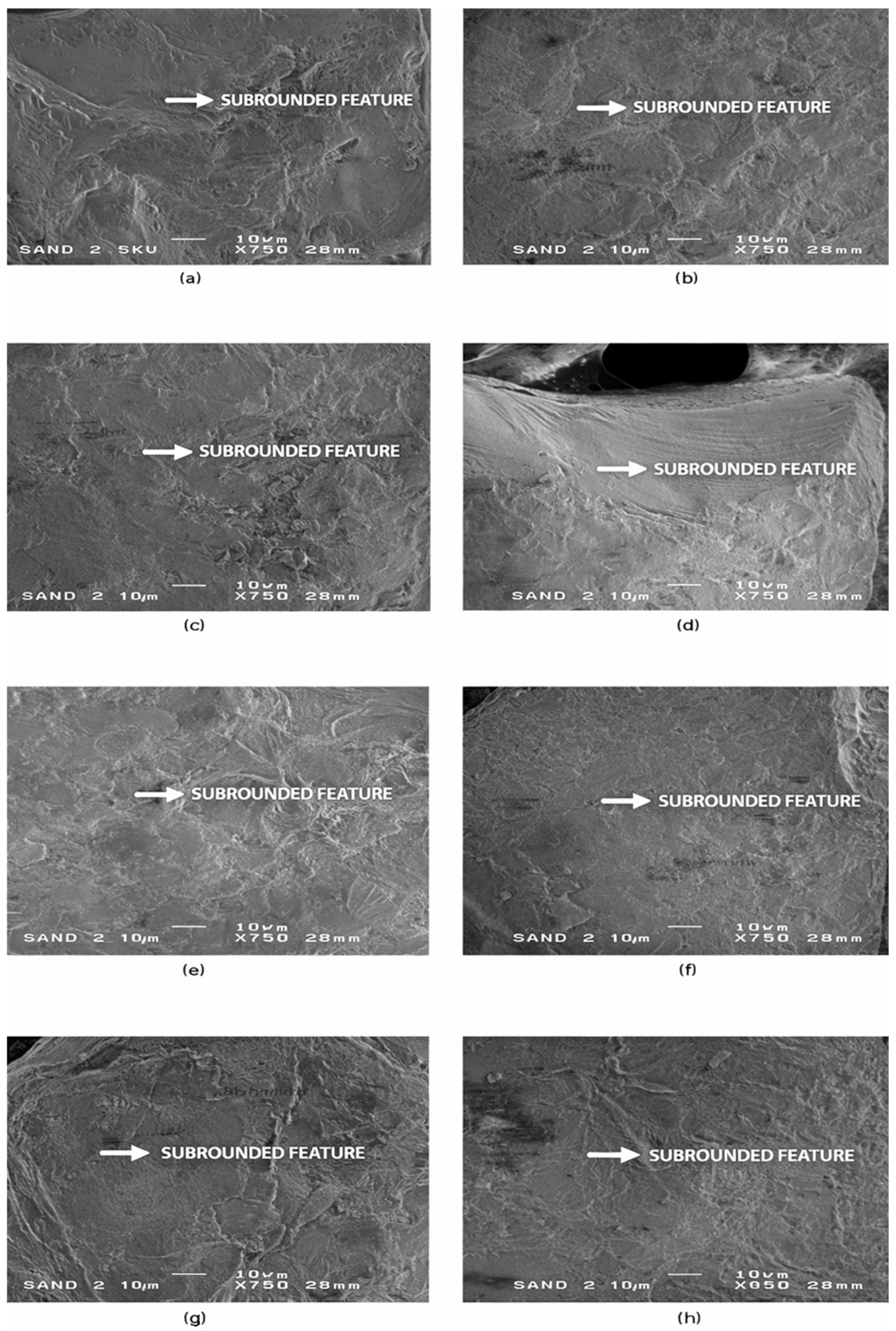 Materials 19 00809 g004 Materials 19 00809 g004