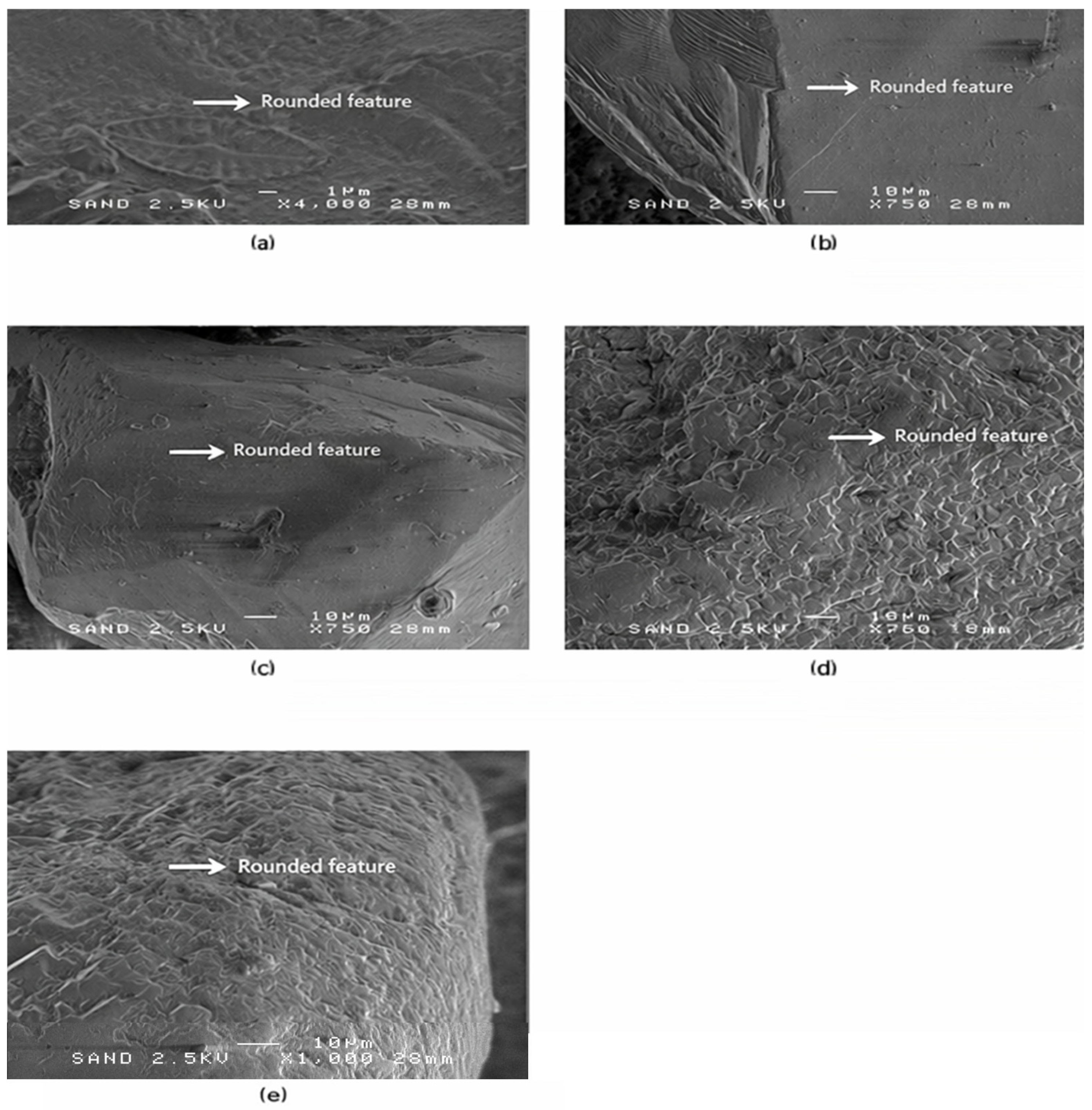 Materials 19 00809 g005 Materials 19 00809 g005