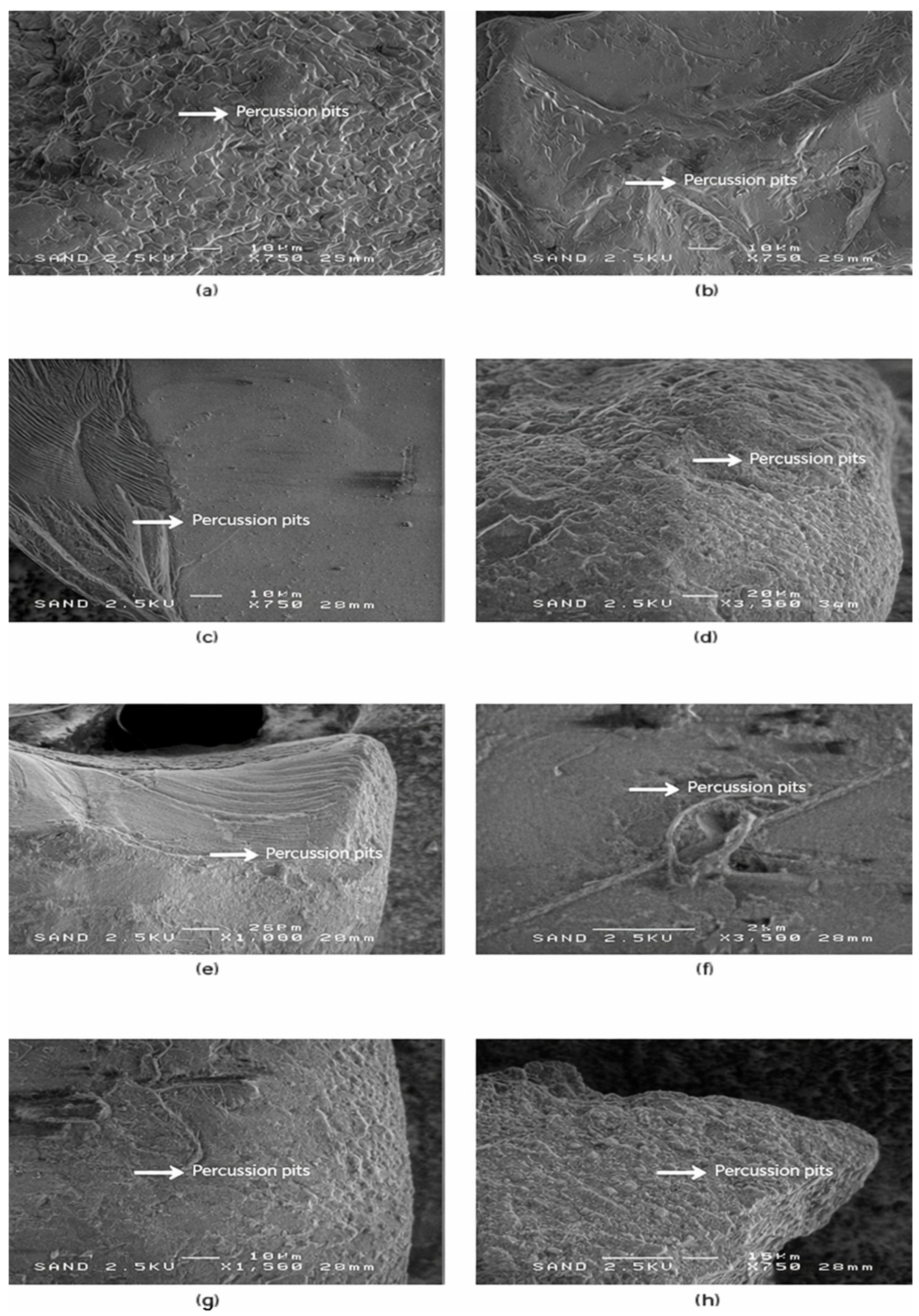Materials 19 00809 g006 Materials 19 00809 g006