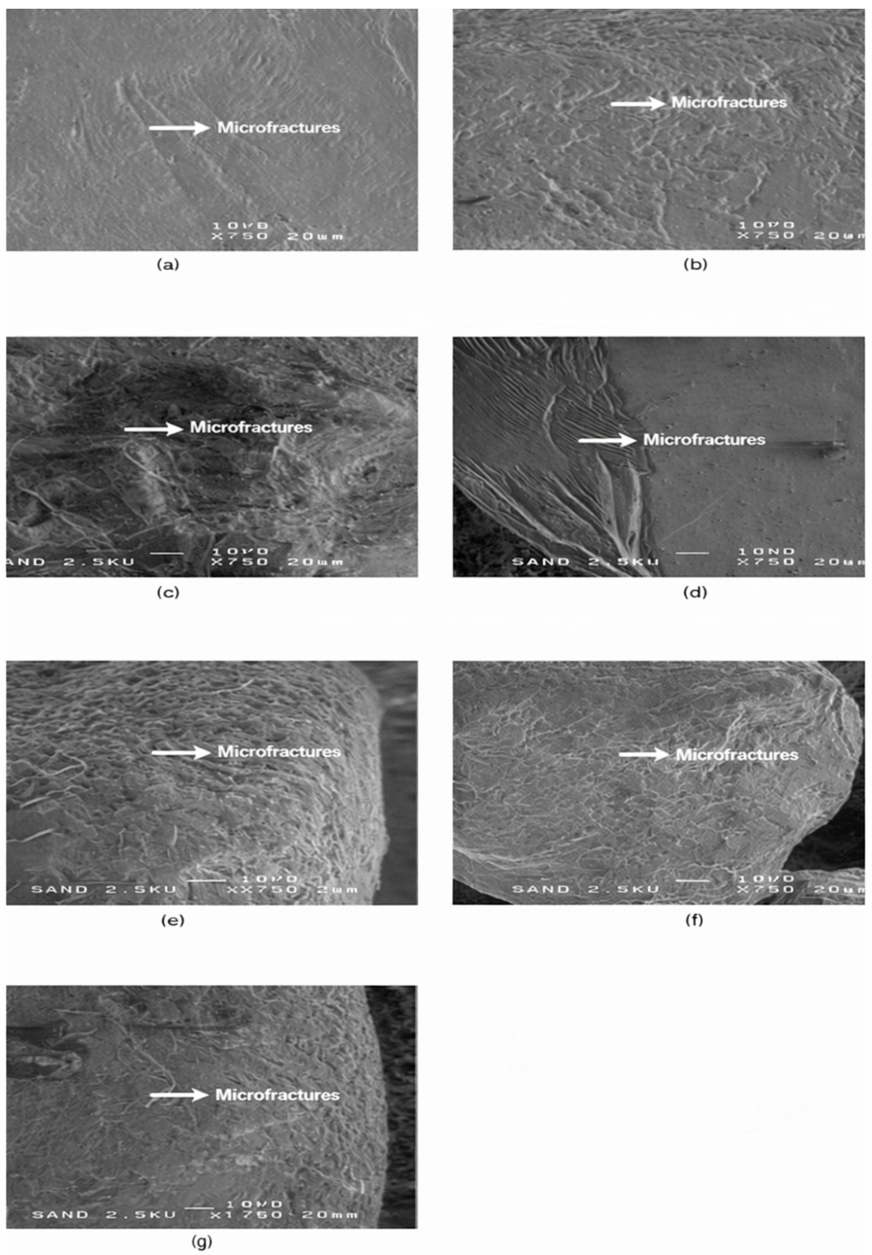 Materials 19 00809 g007 Materials 19 00809 g007