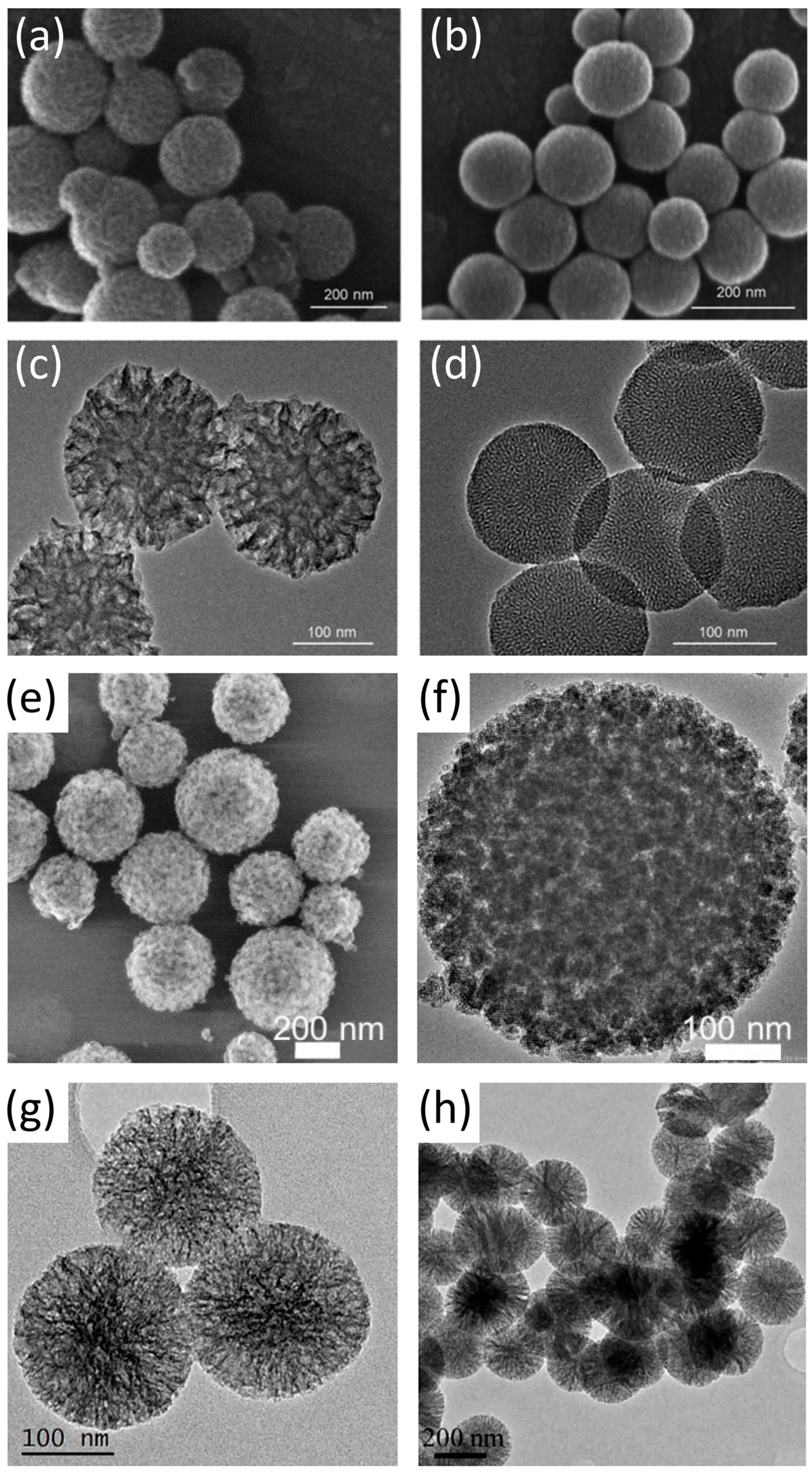 Materials 19 00876 g002 Materials 19 00876 g002