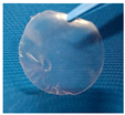 Materials 19 00897 i003 Materials 19 00897 i003