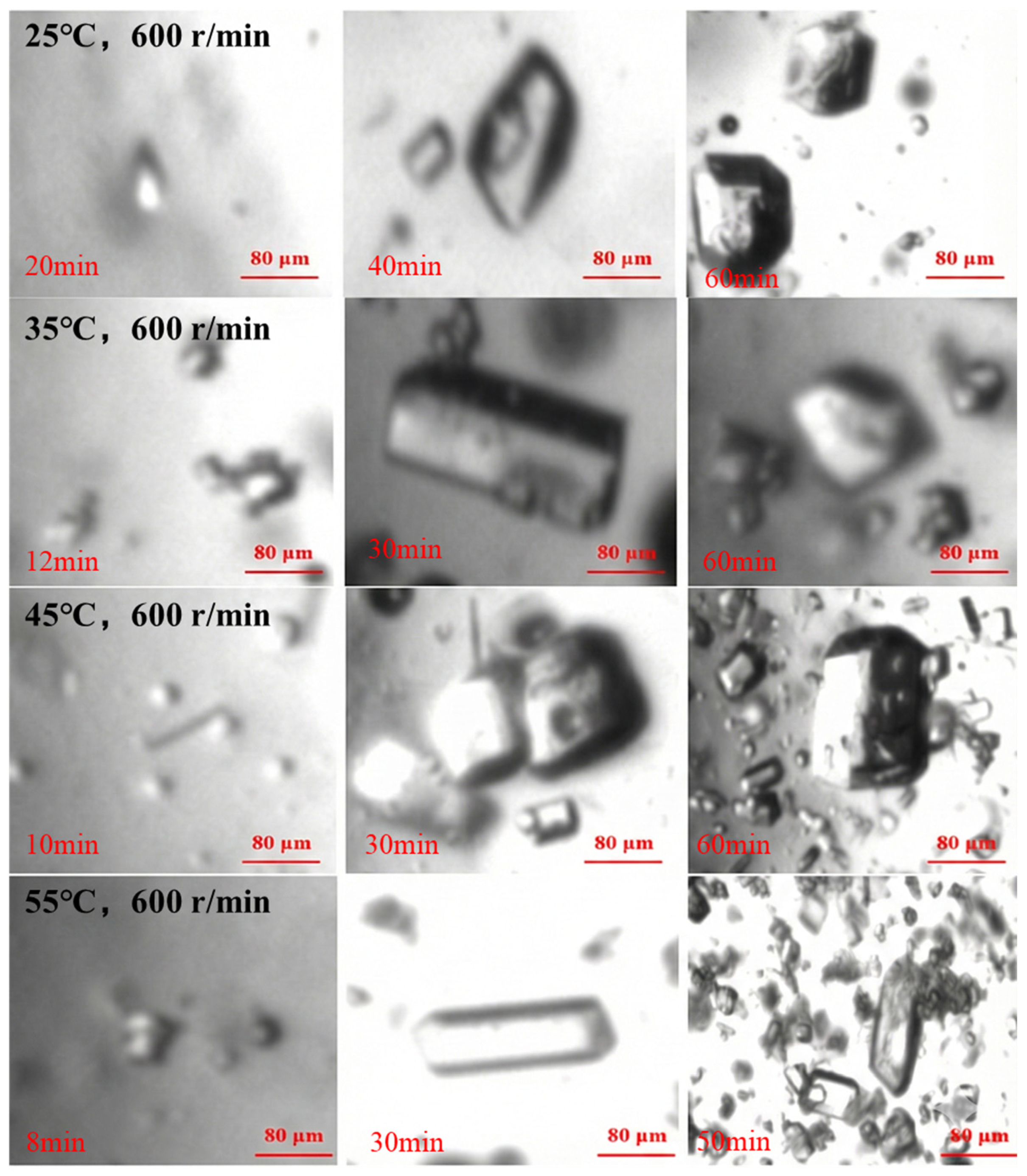 Materials 19 00957 g007 Materials 19 00957 g007