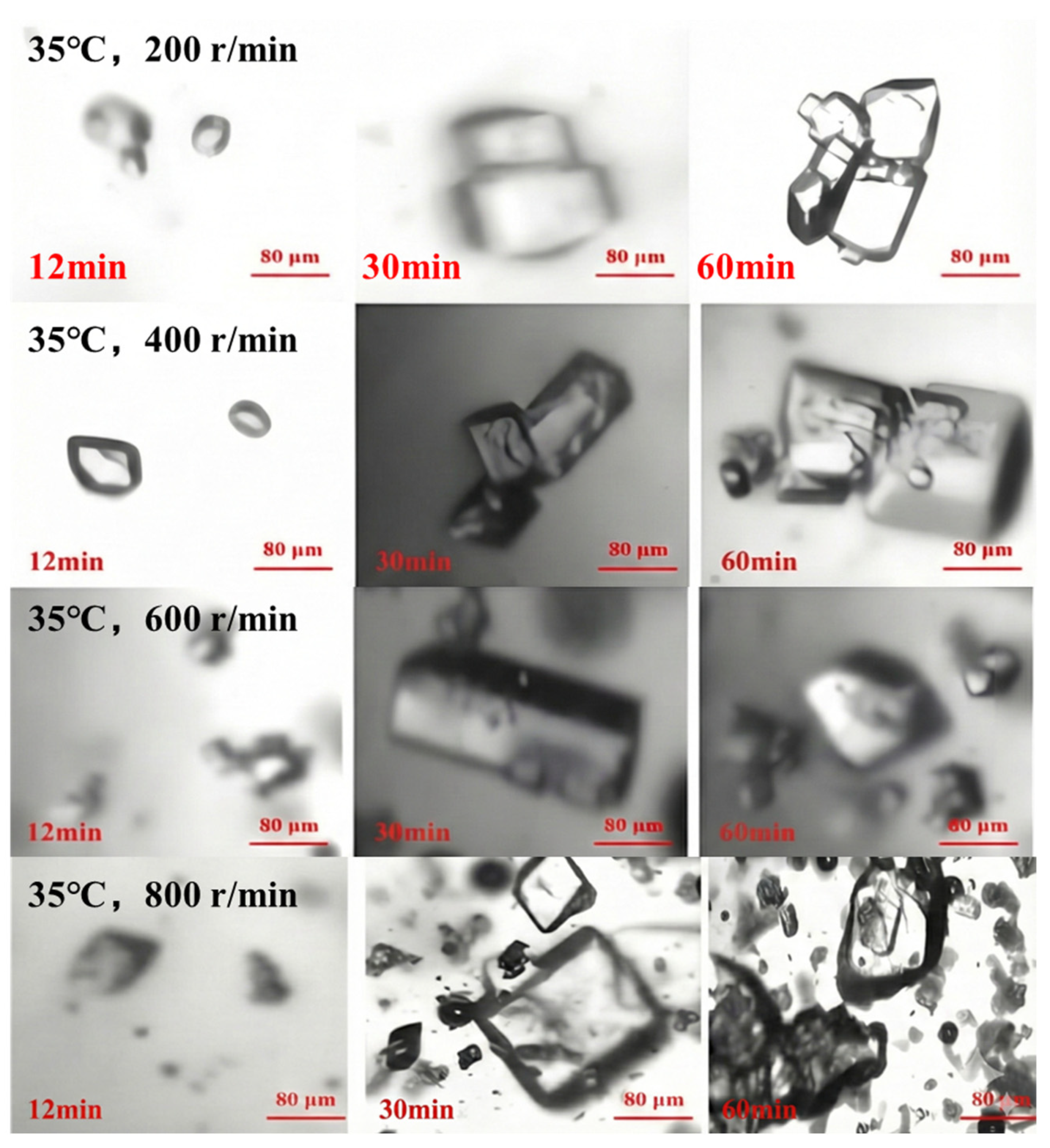 Materials 19 00957 g009 Materials 19 00957 g009