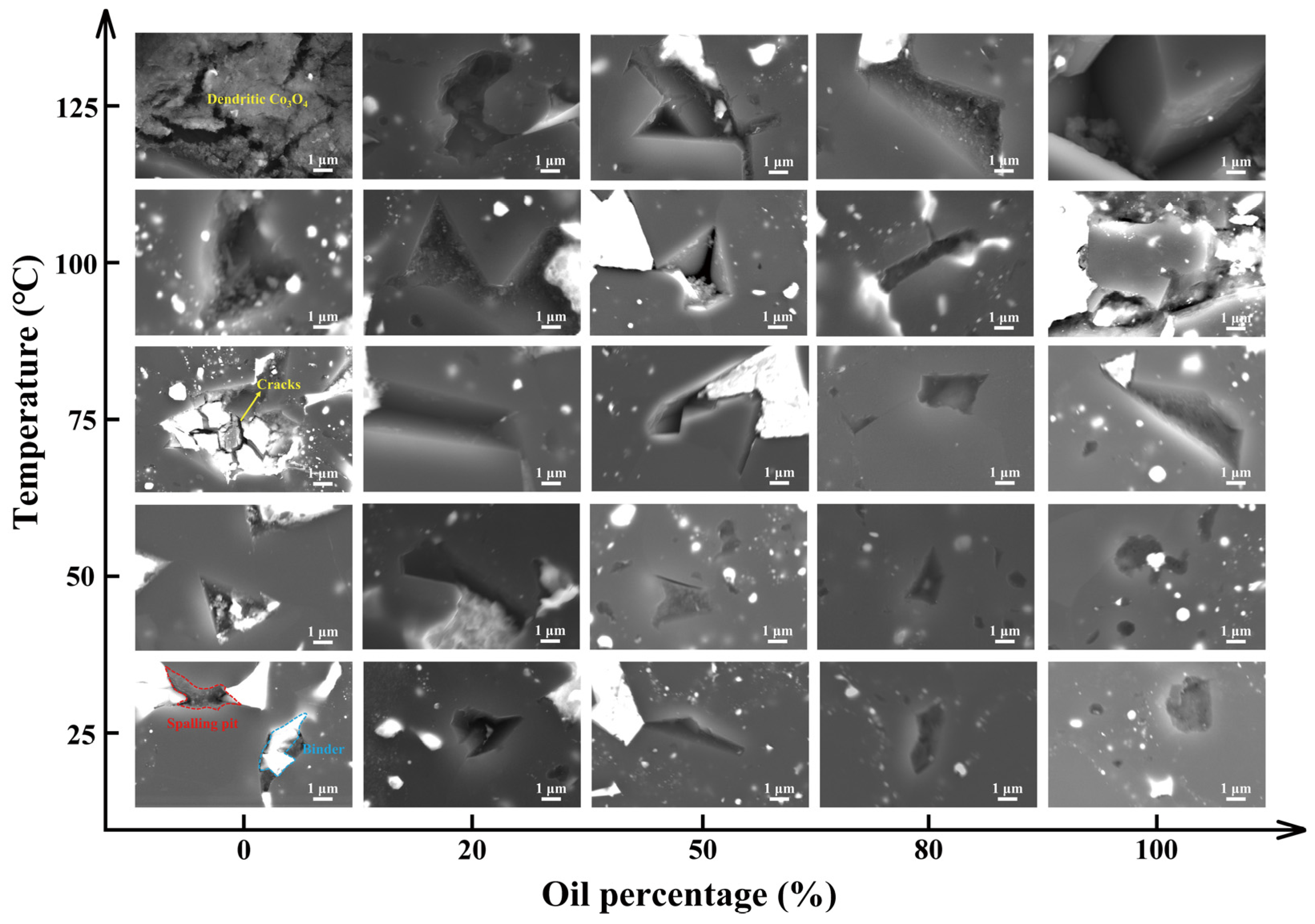 Materials 19 00982 g006