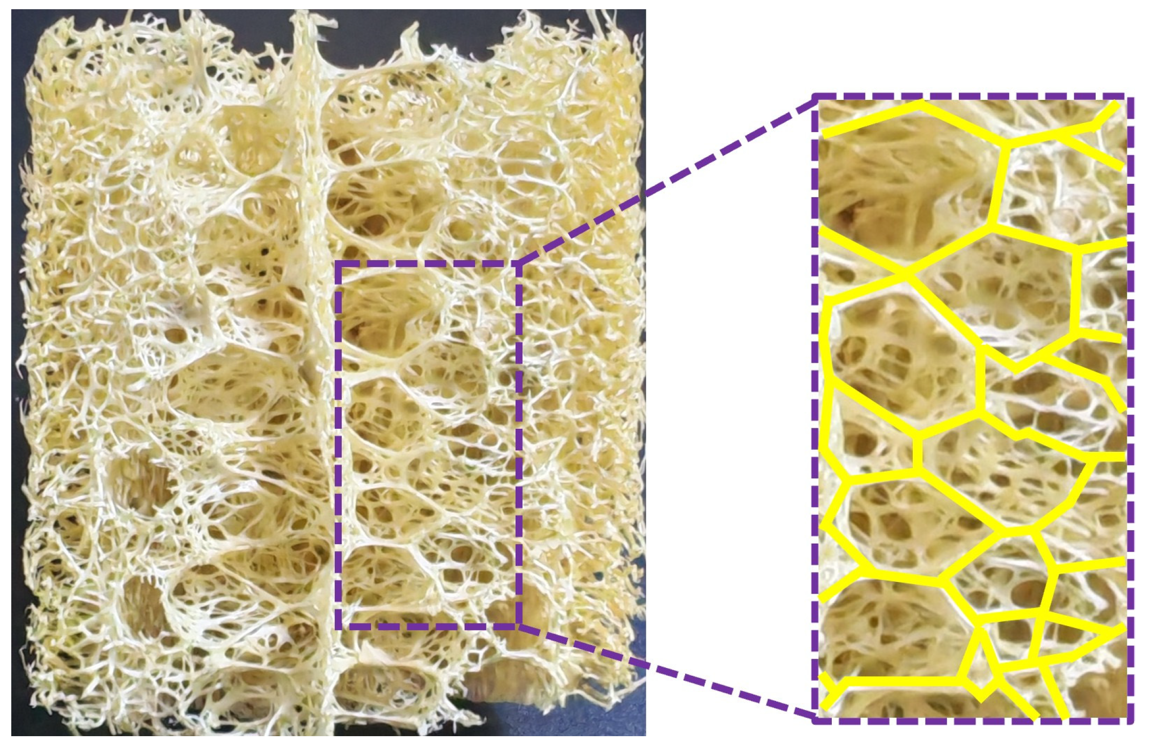 Materials 19 00997 g001 Materials 19 00997 g001