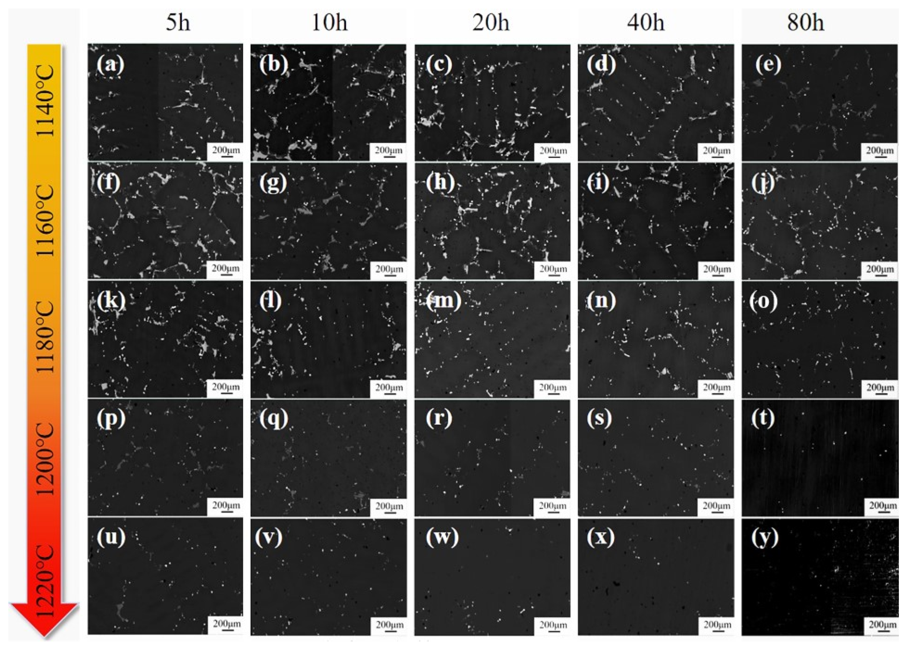 Materials 19 01002 g007