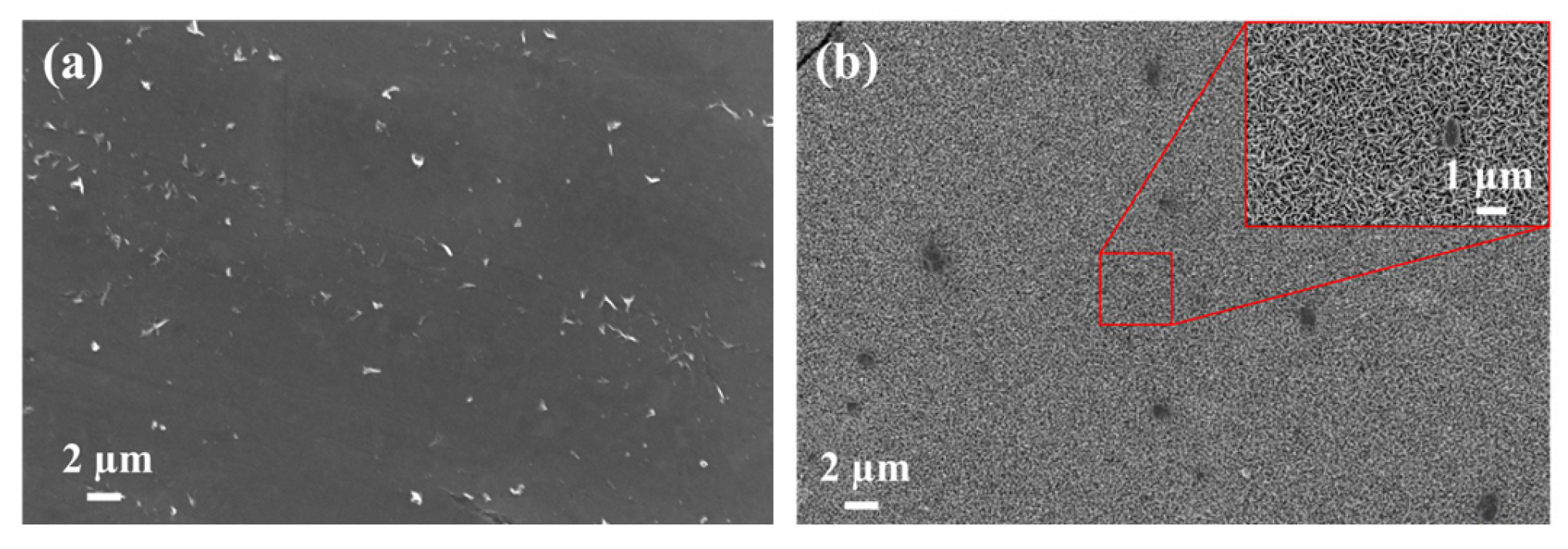 Materials 19 01189 g006a Materials 19 01189 g006a