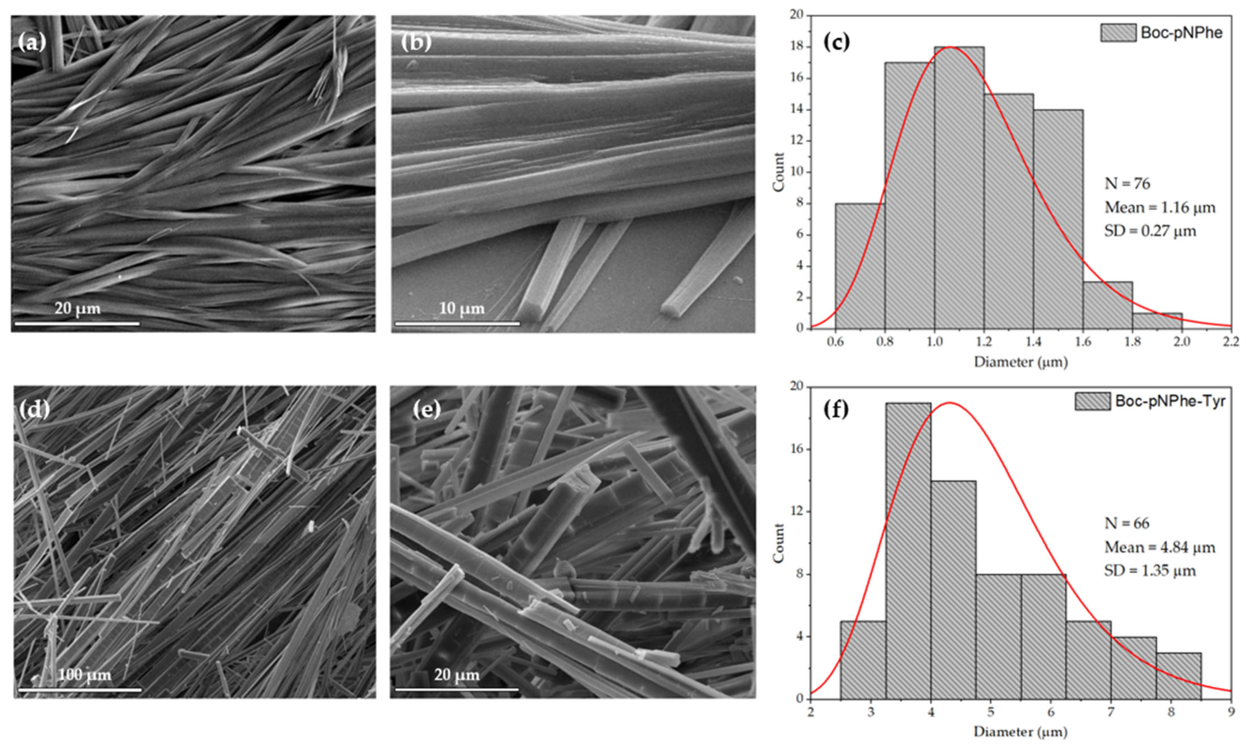 Materials 19 01319 g002 Materials 19 01319 g002