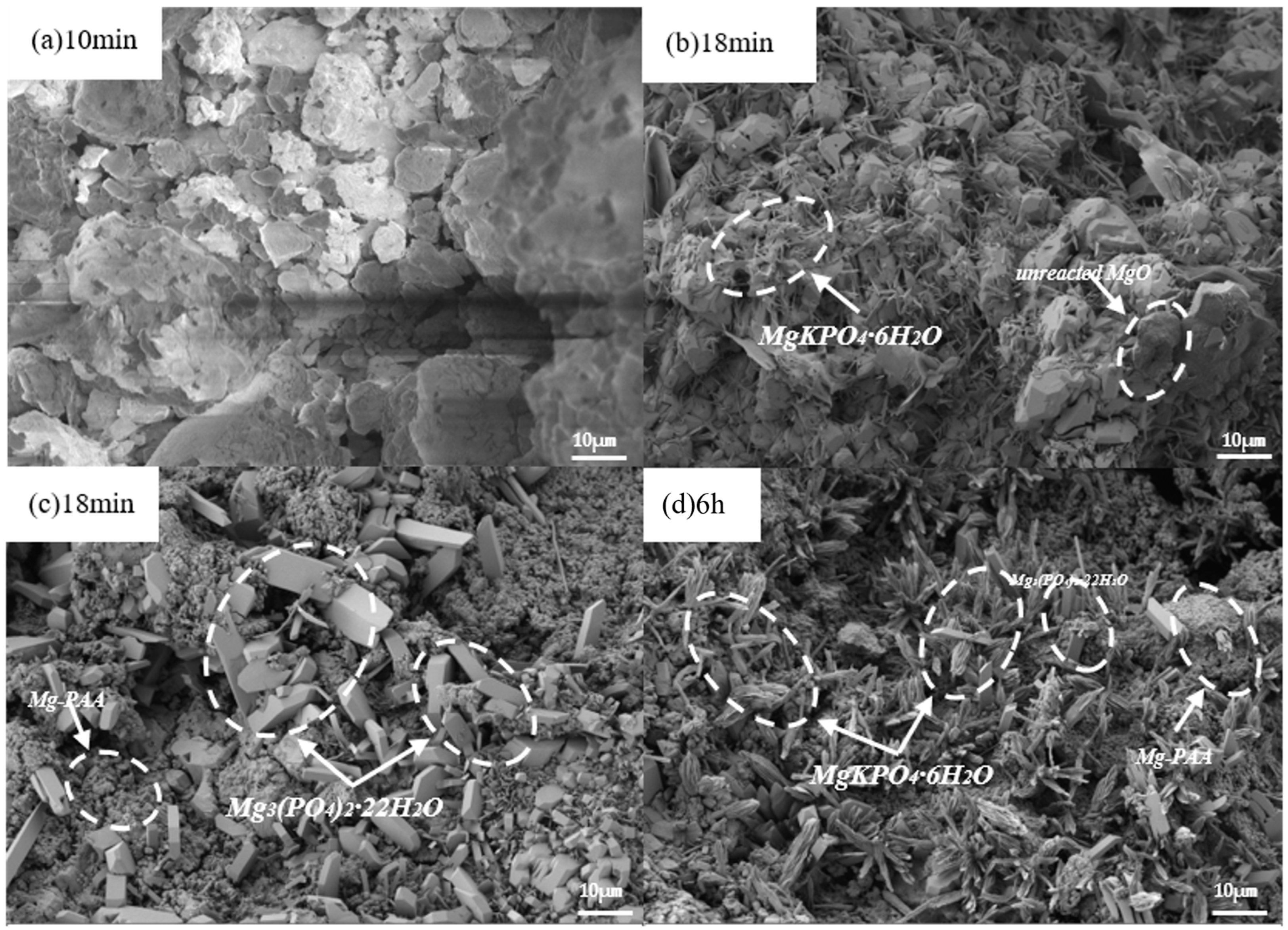 Materials 19 01349 g009 Materials 19 01349 g009