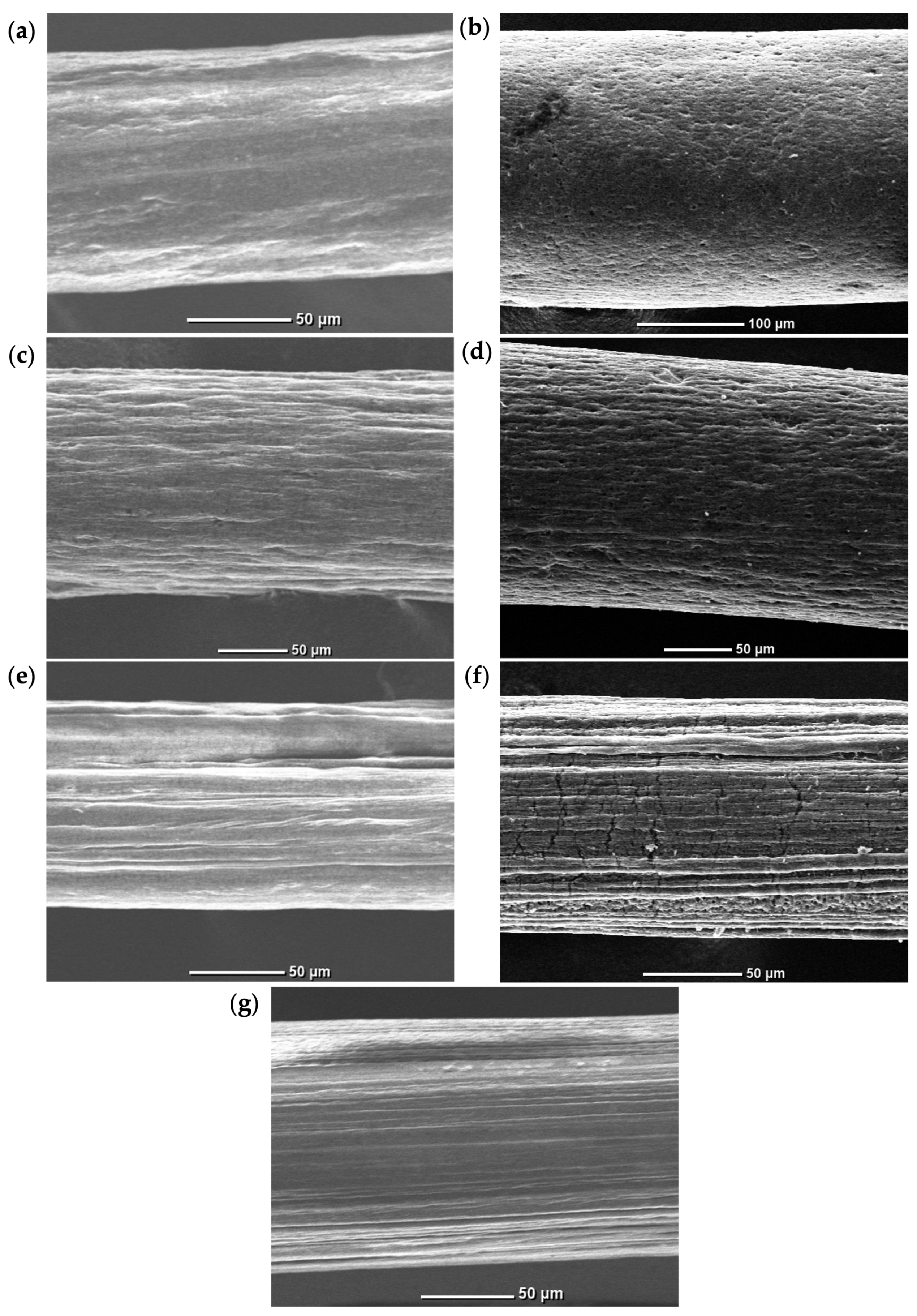Materials 19 01376 g003 Materials 19 01376 g003