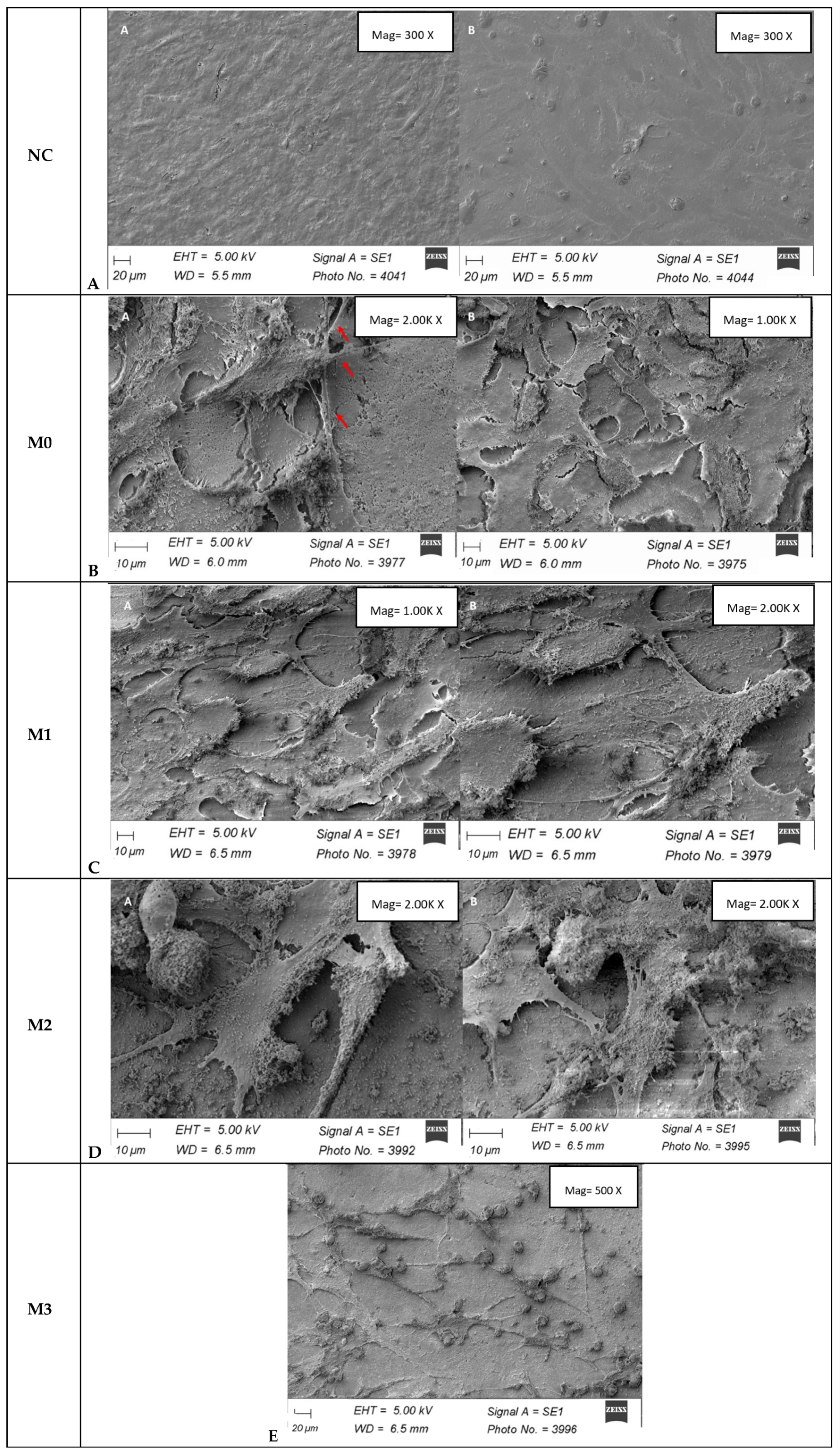 Materials 19 01407 g010 Materials 19 01407 g010