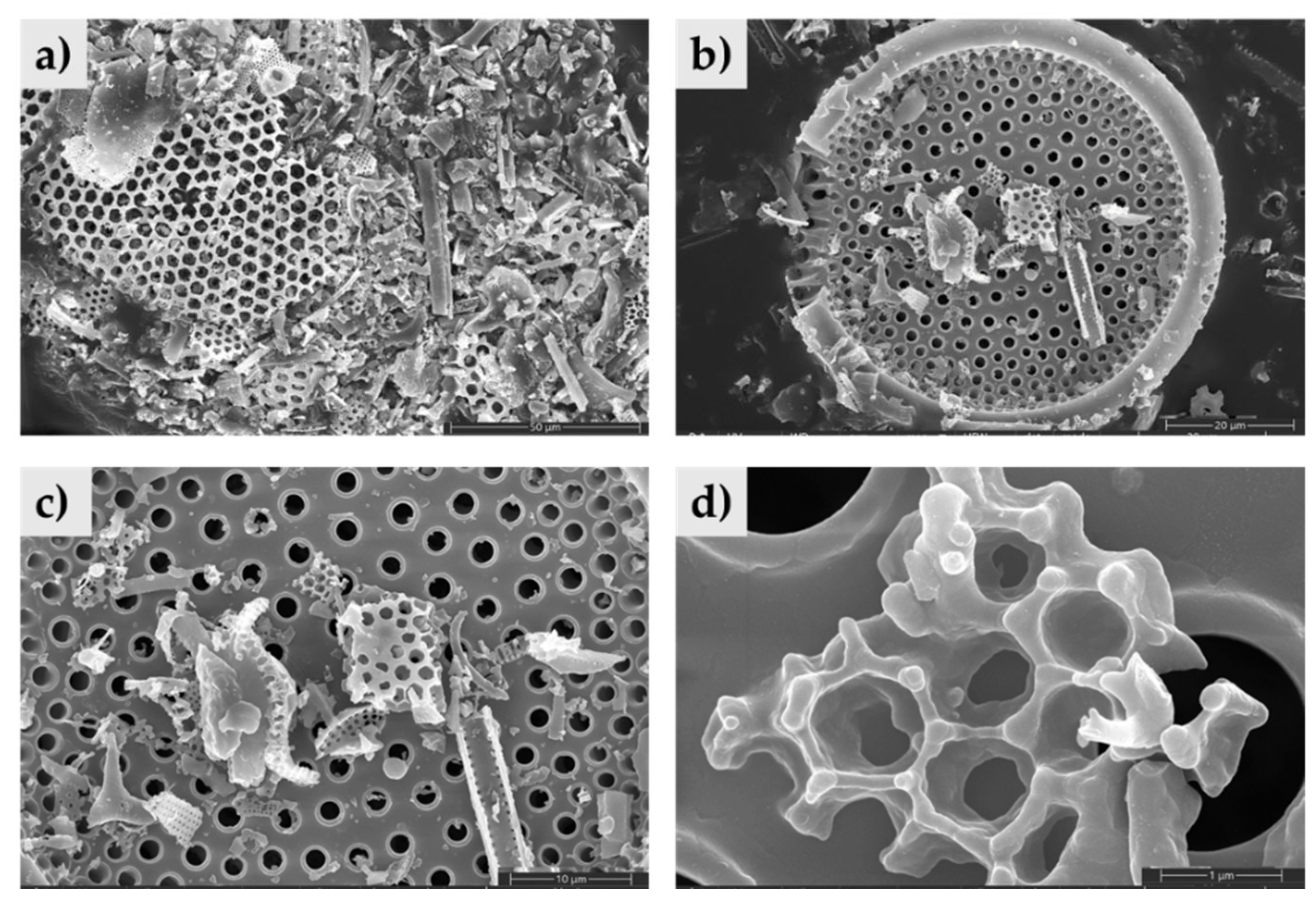 Materials 19 01529 g002 Materials 19 01529 g002