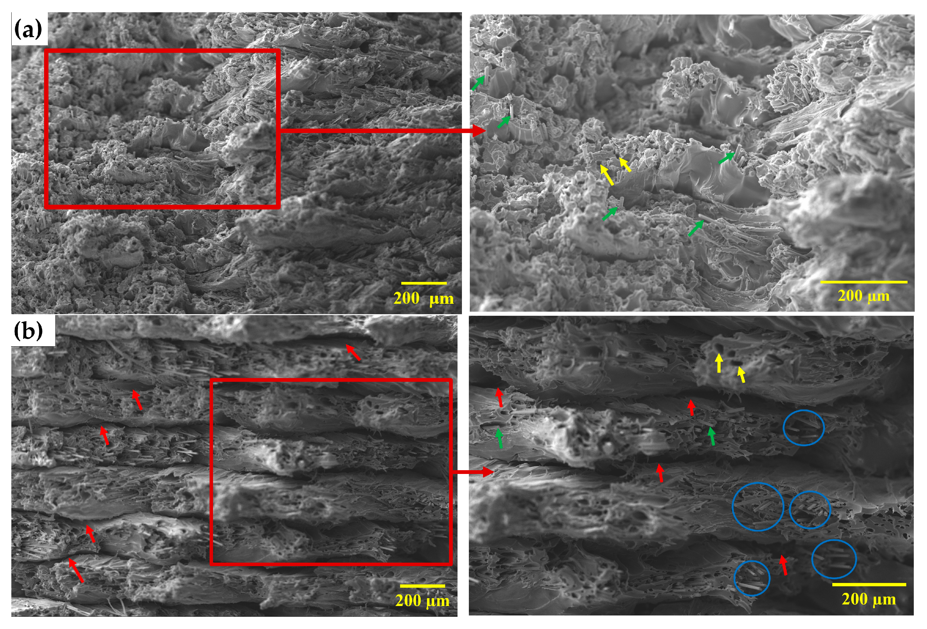 Materials 19 01692 g008 Materials 19 01692 g008
