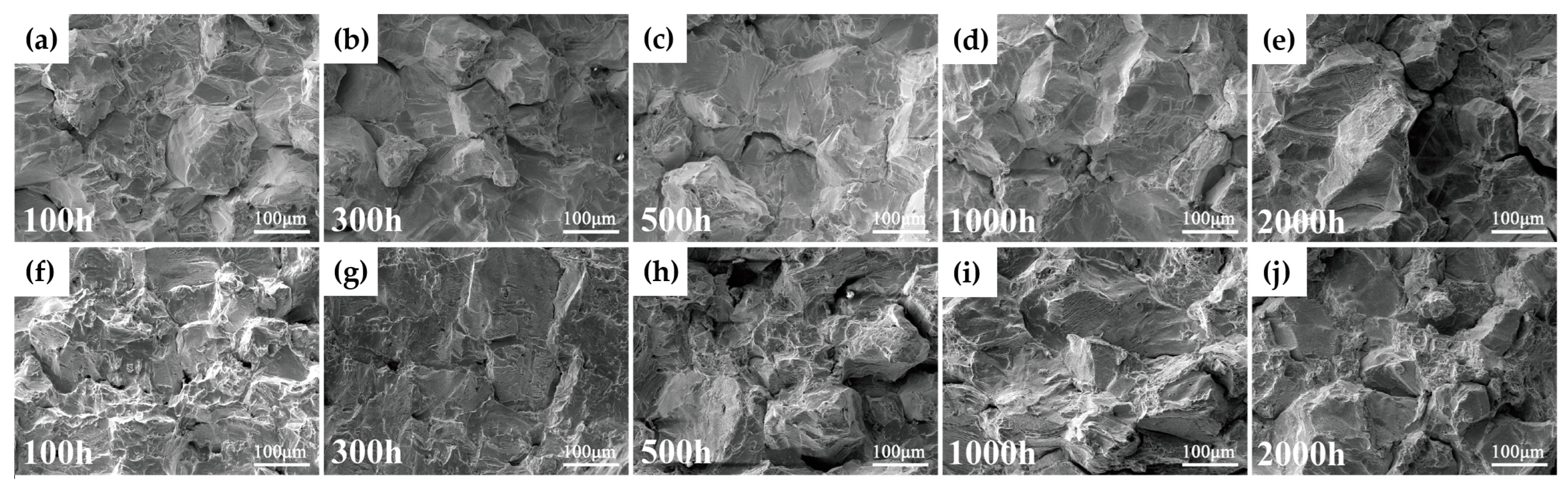Materials 19 01932 g004 Materials 19 01932 g004