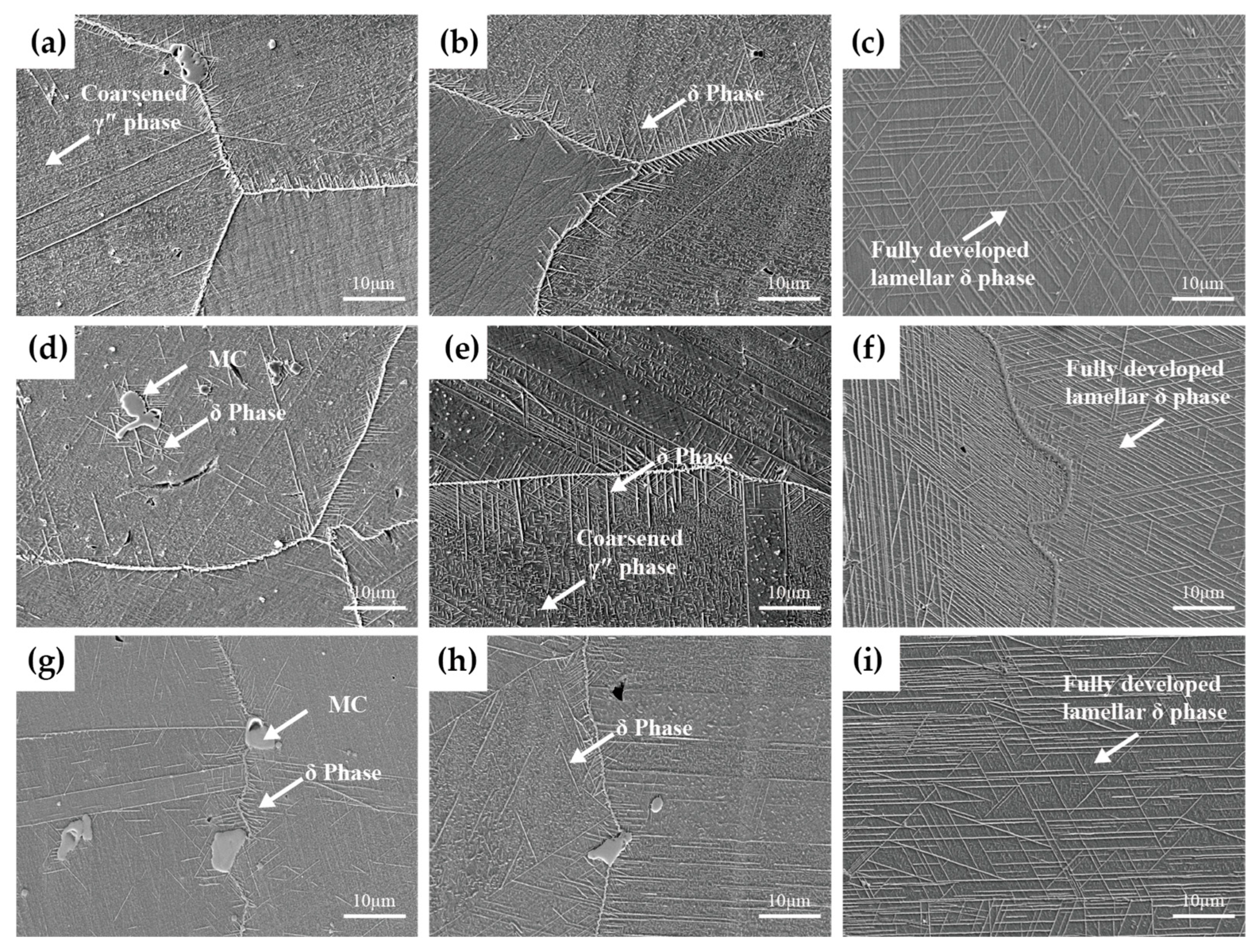 Materials 19 01932 g009 Materials 19 01932 g009