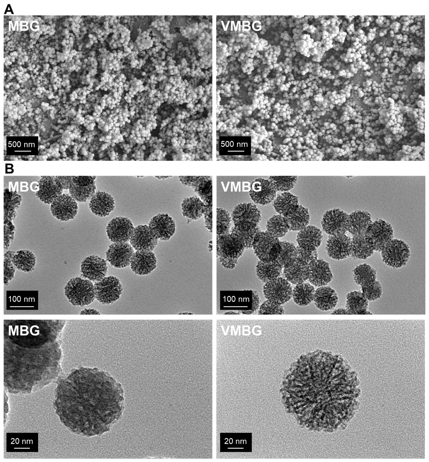 Materials 19 02086 g001 Materials 19 02086 g001