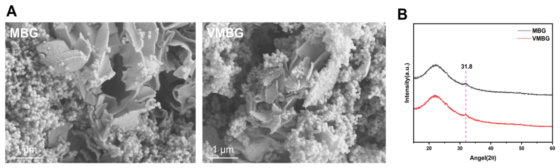 Materials 19 02086 g004 Materials 19 02086 g004