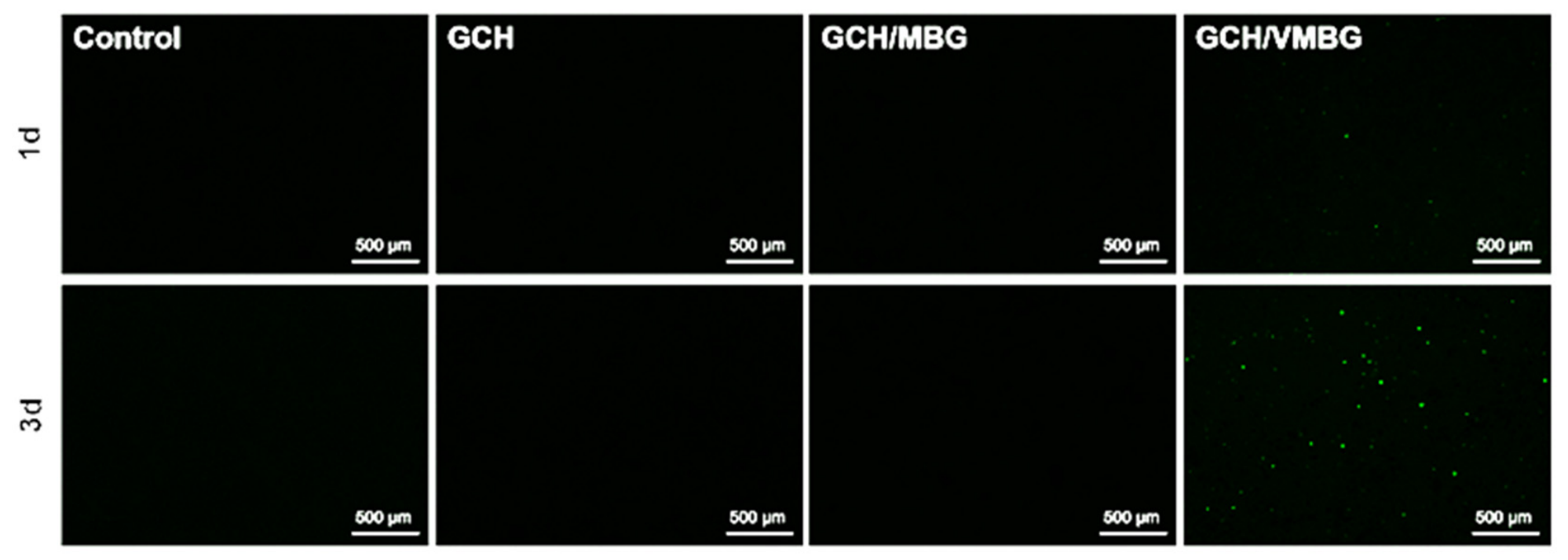 Materials 19 02086 g012 Materials 19 02086 g012