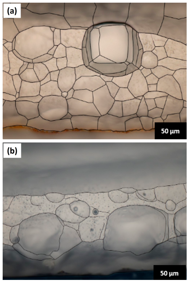 Materials 19 02203 g005 Materials 19 02203 g005