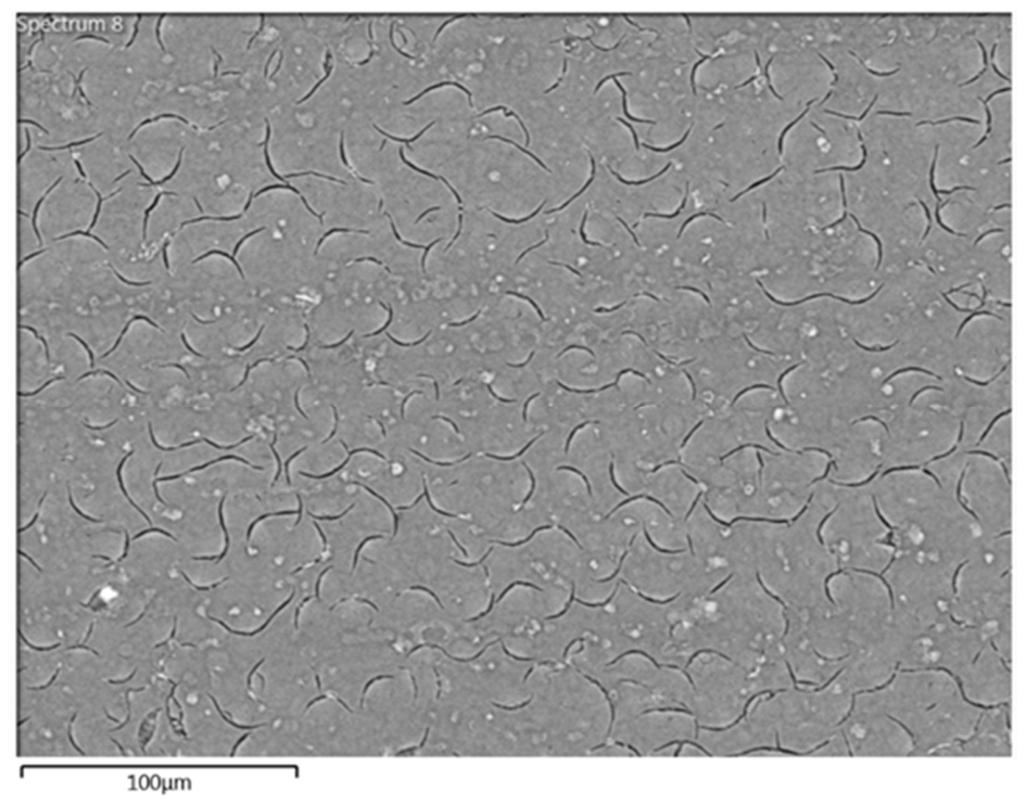 Materials 19 02203 g007 Materials 19 02203 g007
