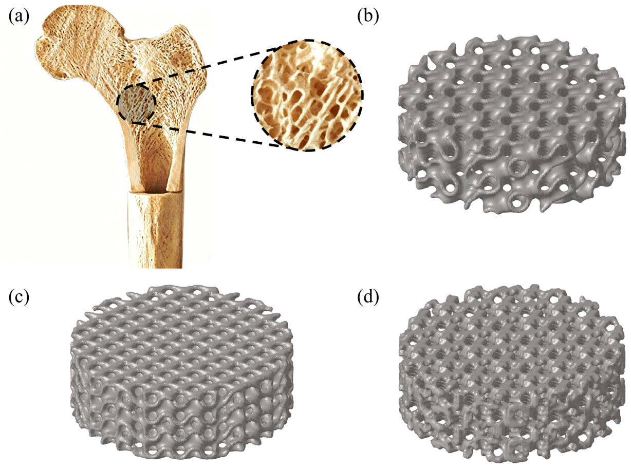 Materials 19 02603 g001 Materials 19 02603 g001
