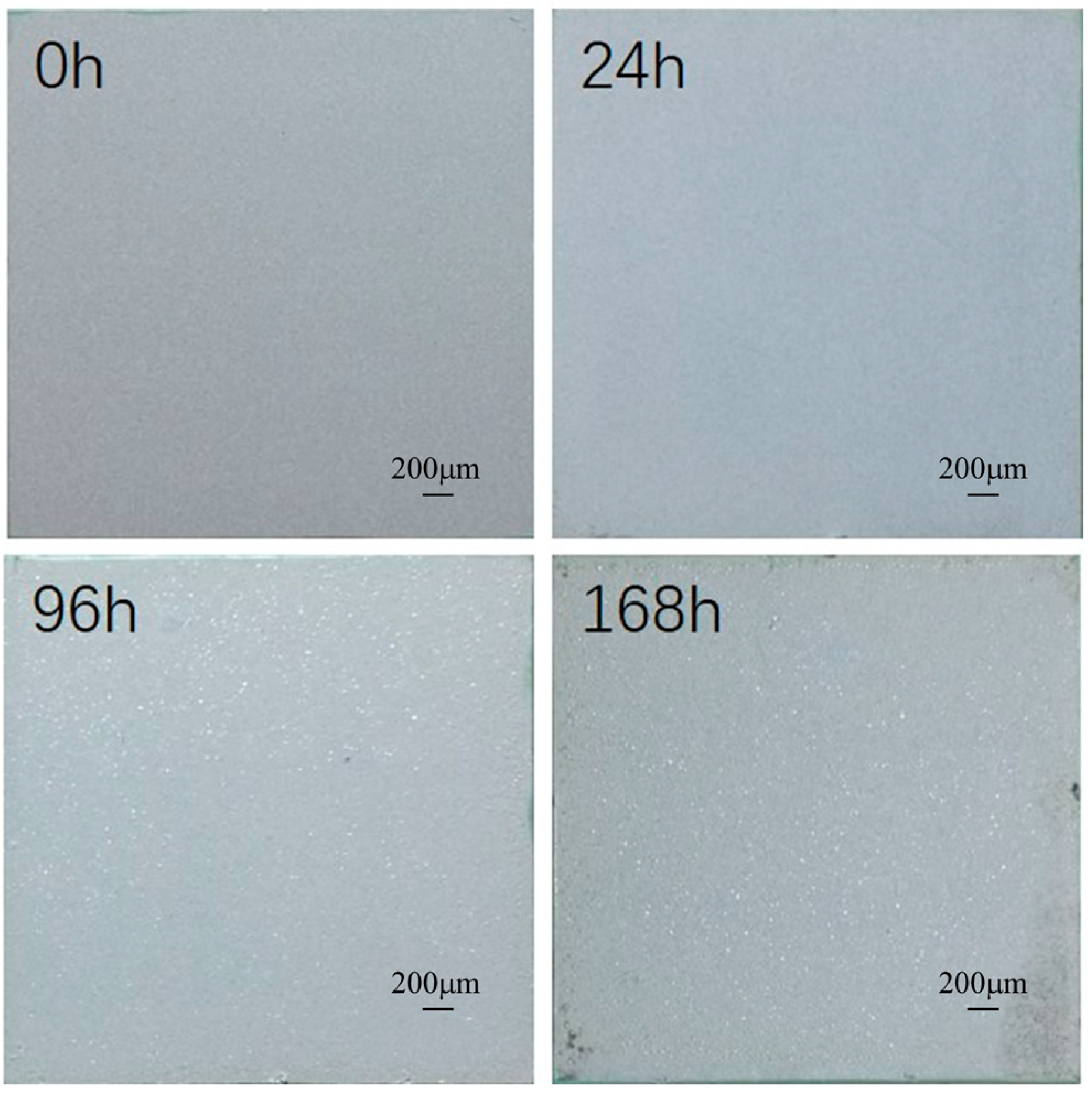 Materials 19 02671 g001 Materials 19 02671 g001