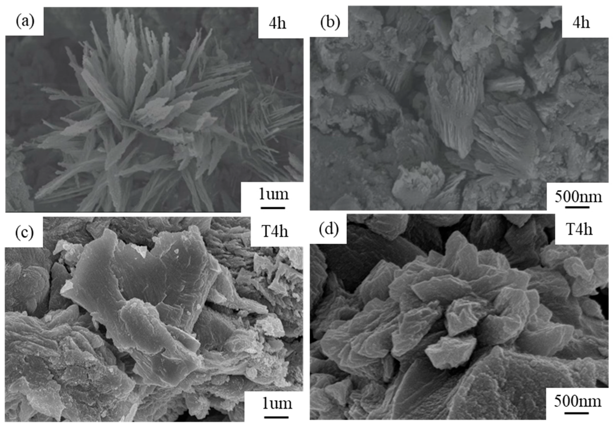Materials 19 02701 g015 Materials 19 02701 g015