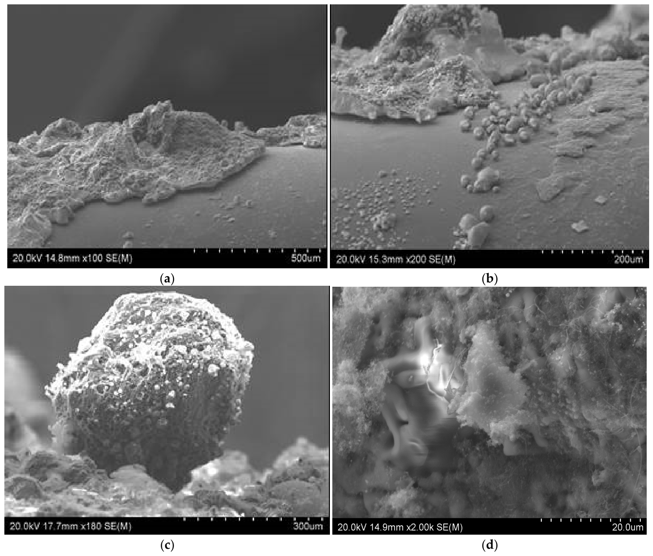 Materials 19 02774 g009 Materials 19 02774 g009