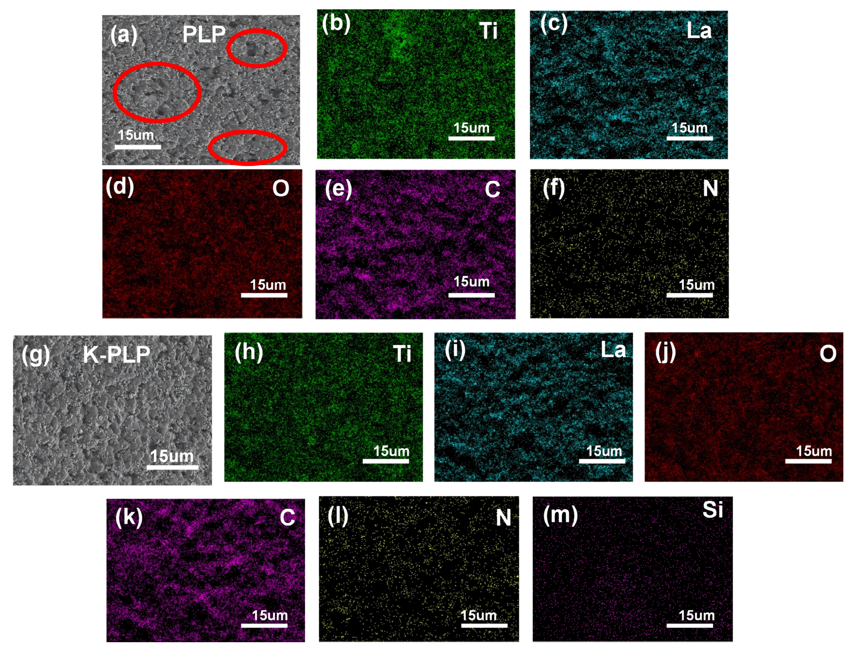 Materials 19 03113 g007 Materials 19 03113 g007