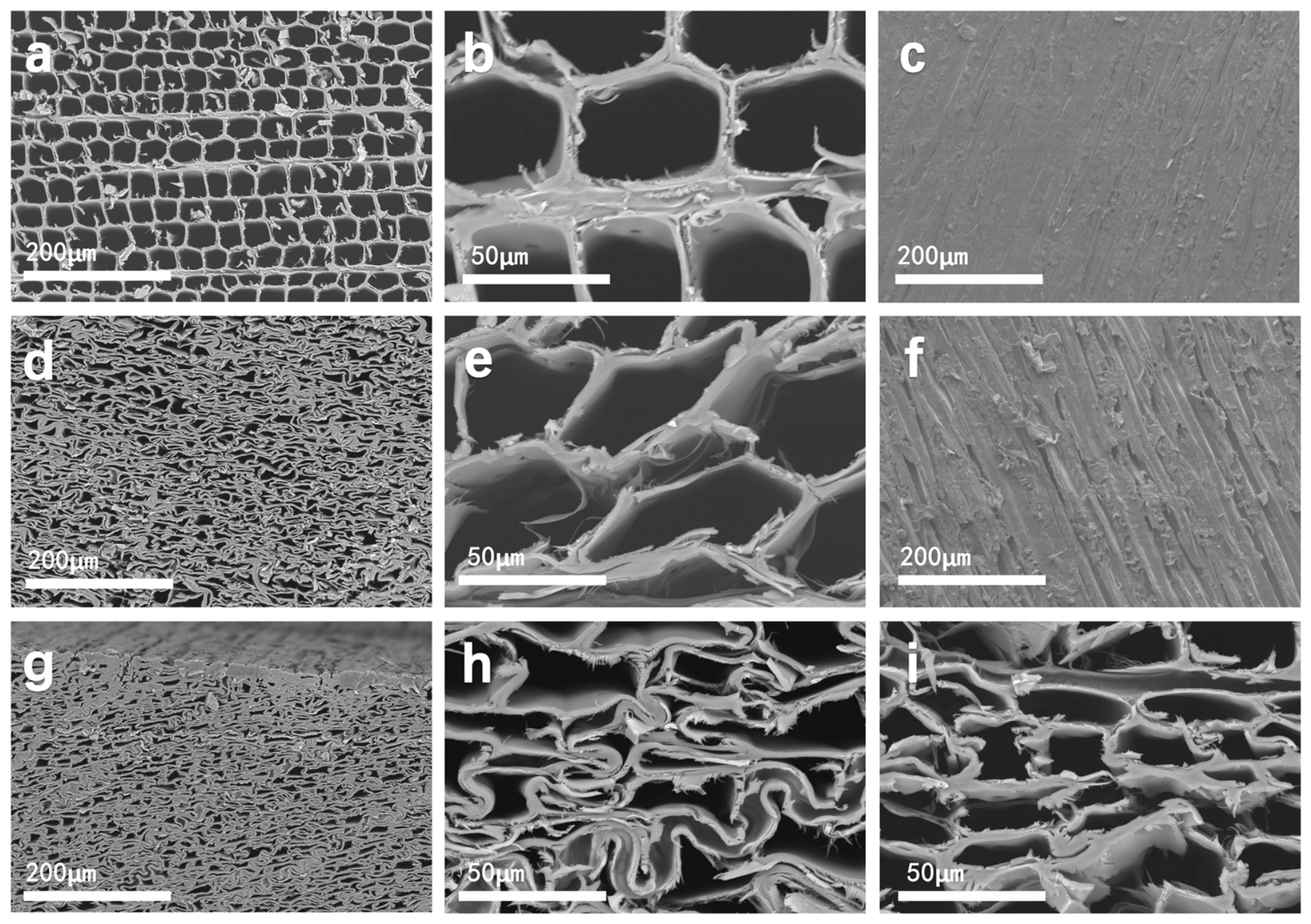 Materials 19 03527 g008 Materials 19 03527 g008