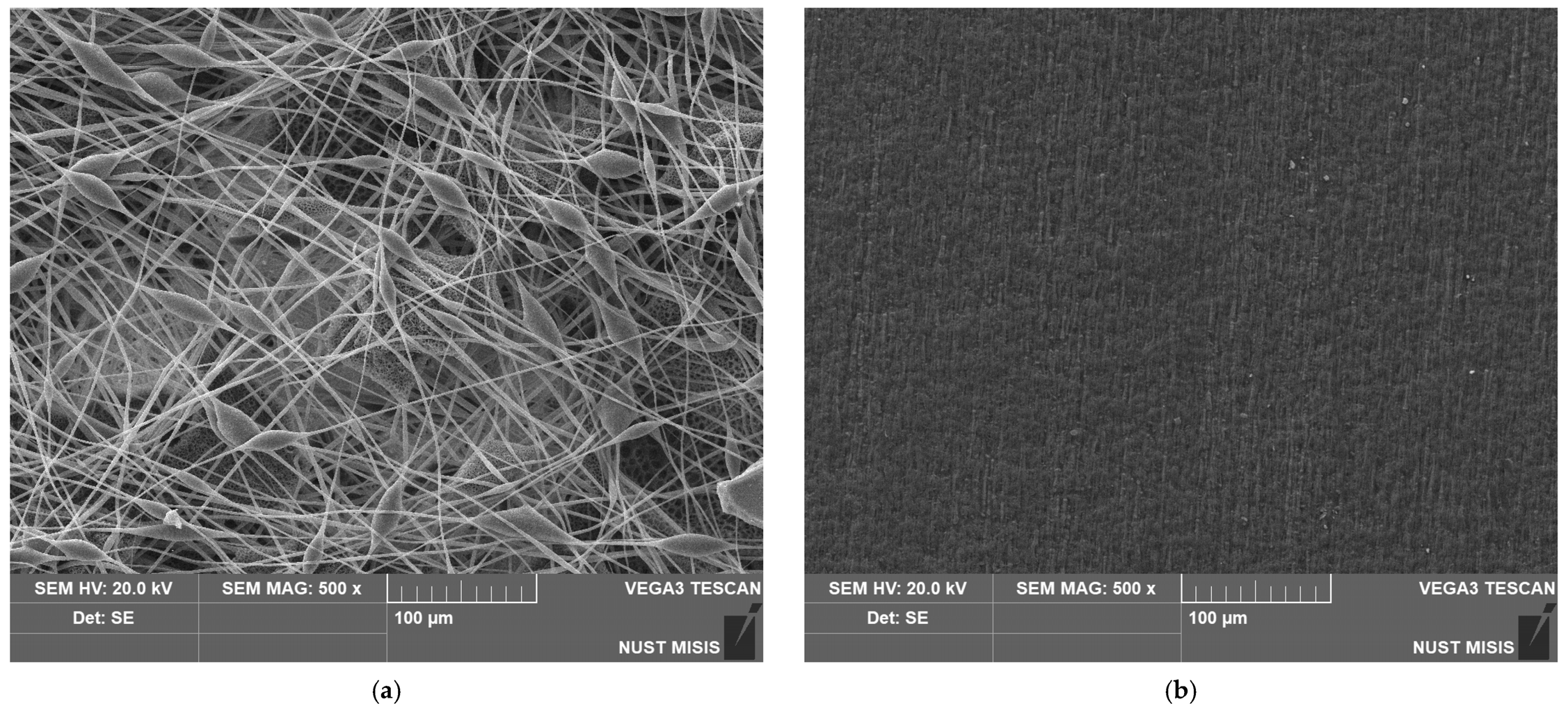 Materials 19 03938 g002