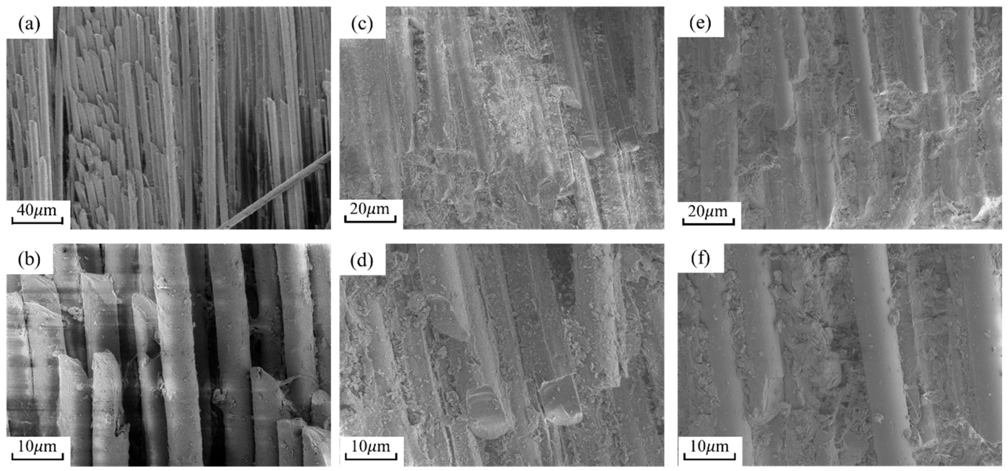 Materials 19 03940 g010 Materials 19 03940 g010