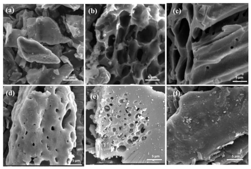 Materials 19 03960 g005 Materials 19 03960 g005