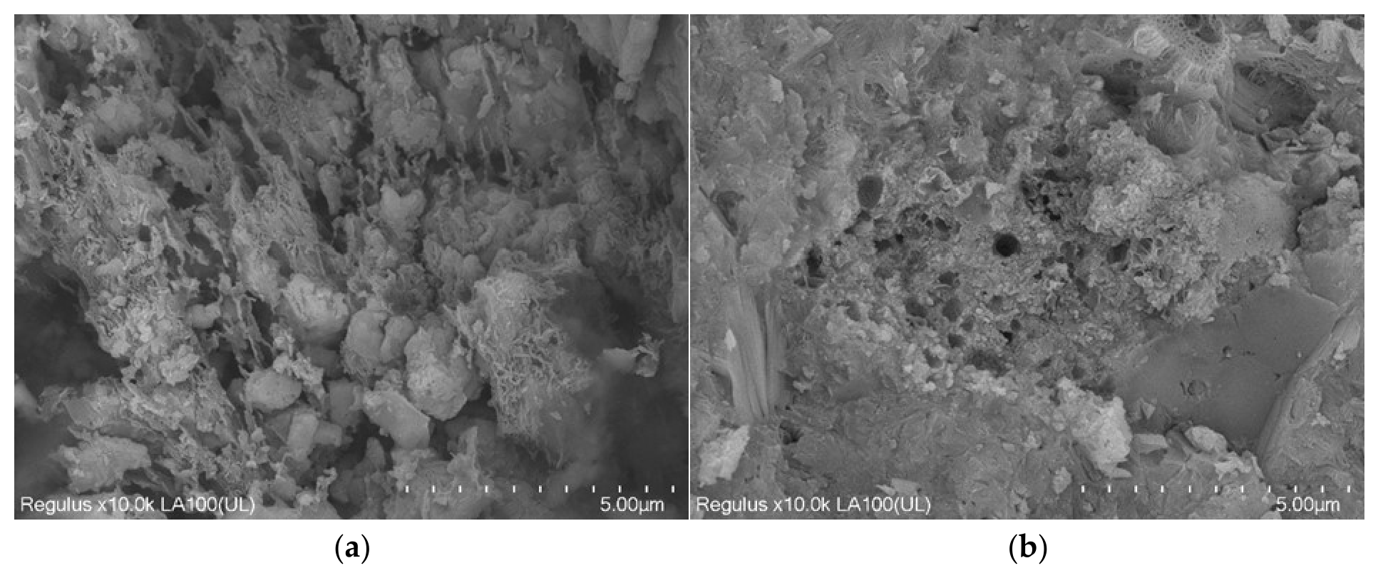 Materials 19 03963 g007a Materials 19 03963 g007a