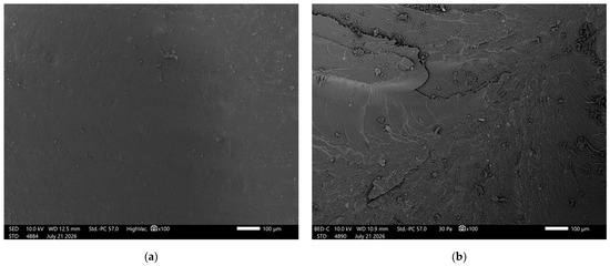 Materials 19 03989 g006a Materials 19 03989 g006a