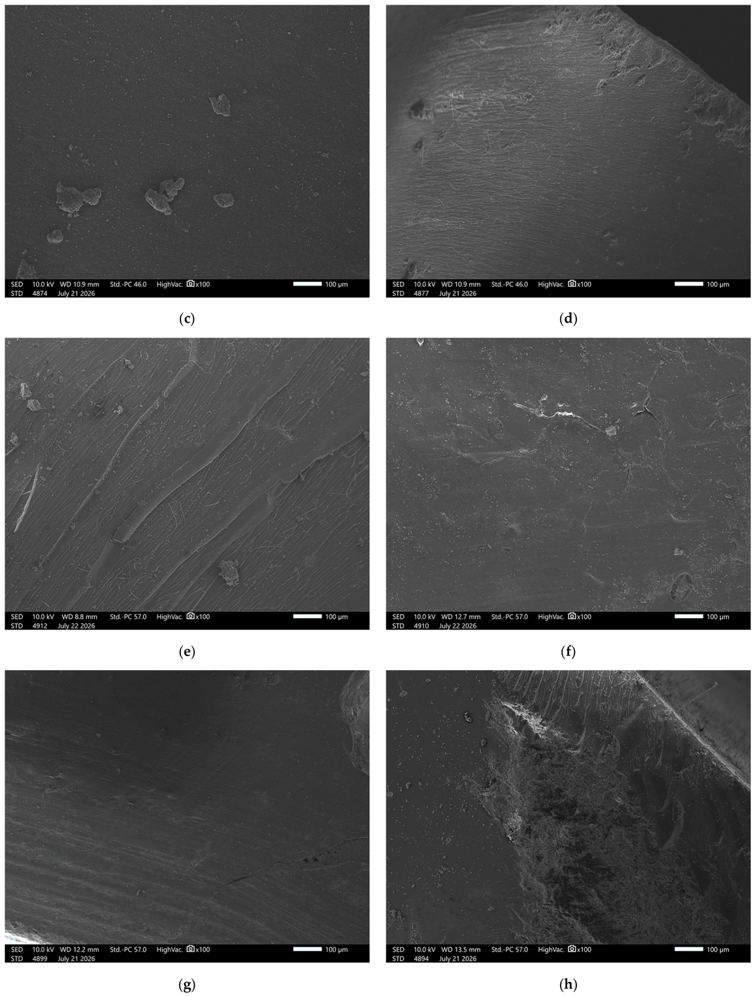 Materials 19 03989 g006b Materials 19 03989 g006b