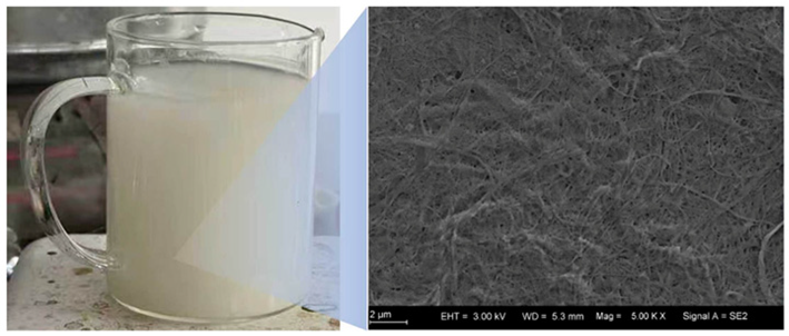 Materials 19 04005 i002 Materials 19 04005 i002
