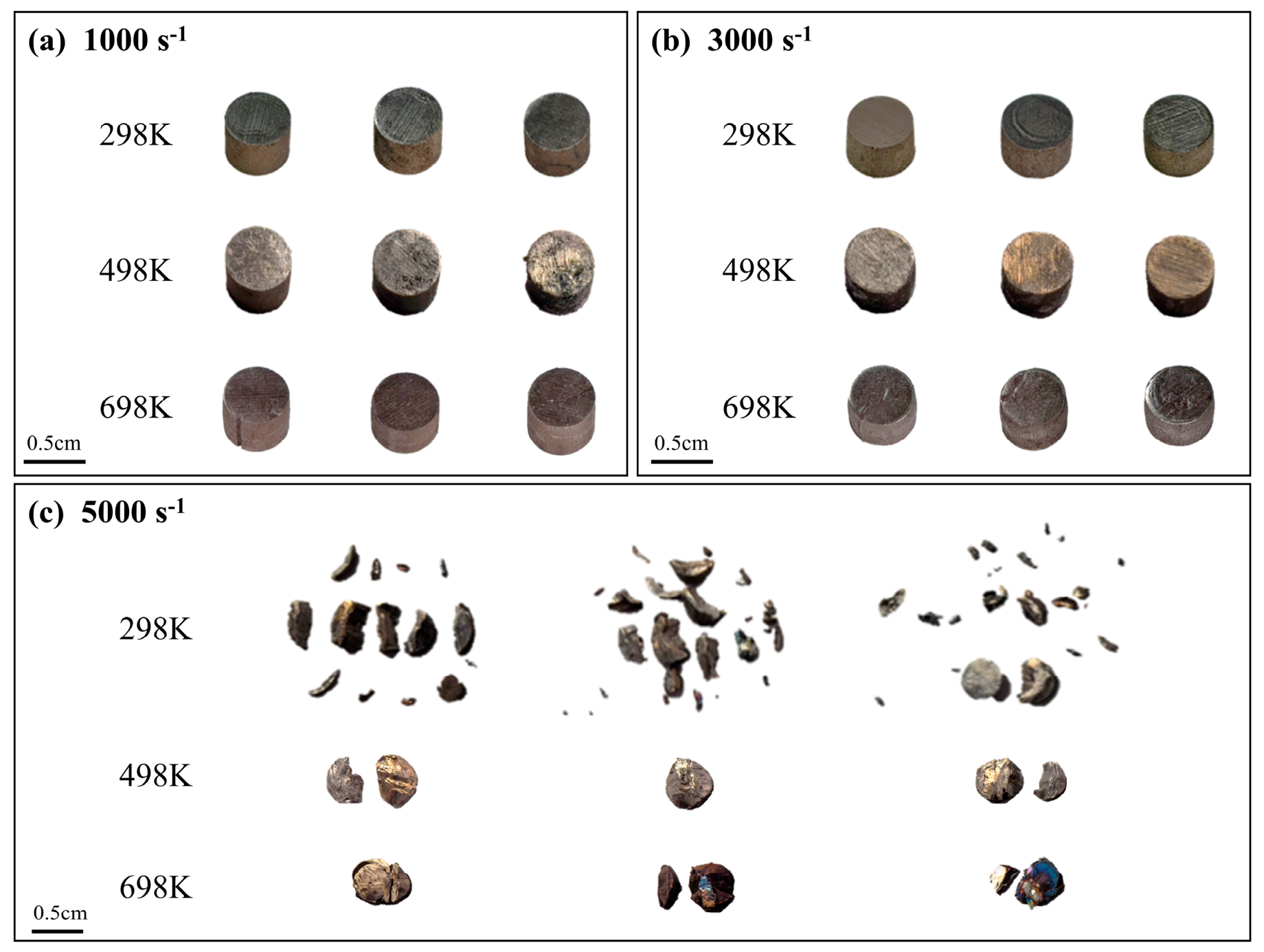 Materials 19 04302 g005 Materials 19 04302 g005