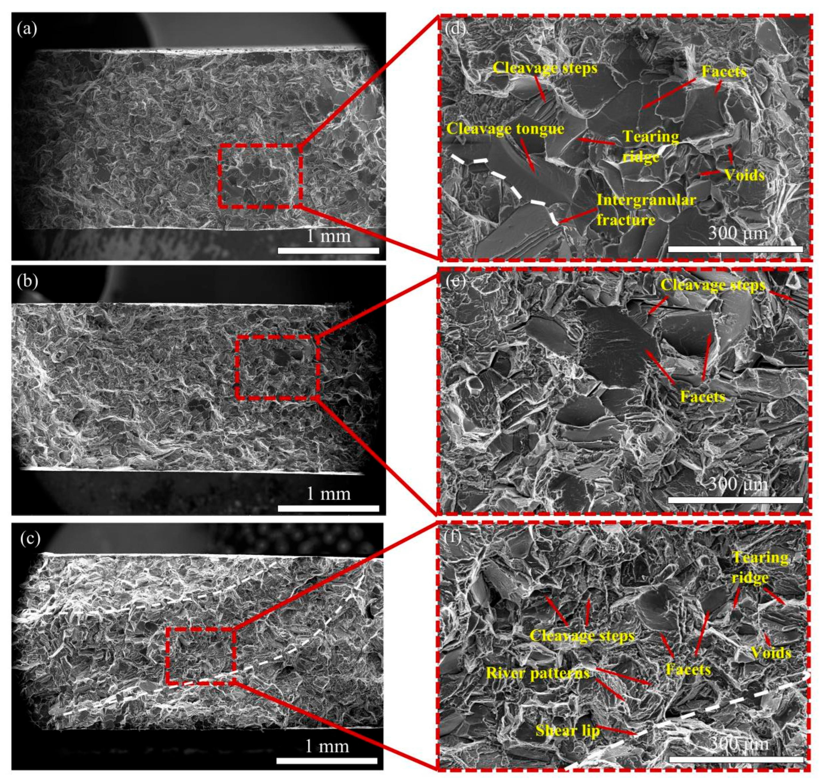 Materials 19 04316 g007 Materials 19 04316 g007