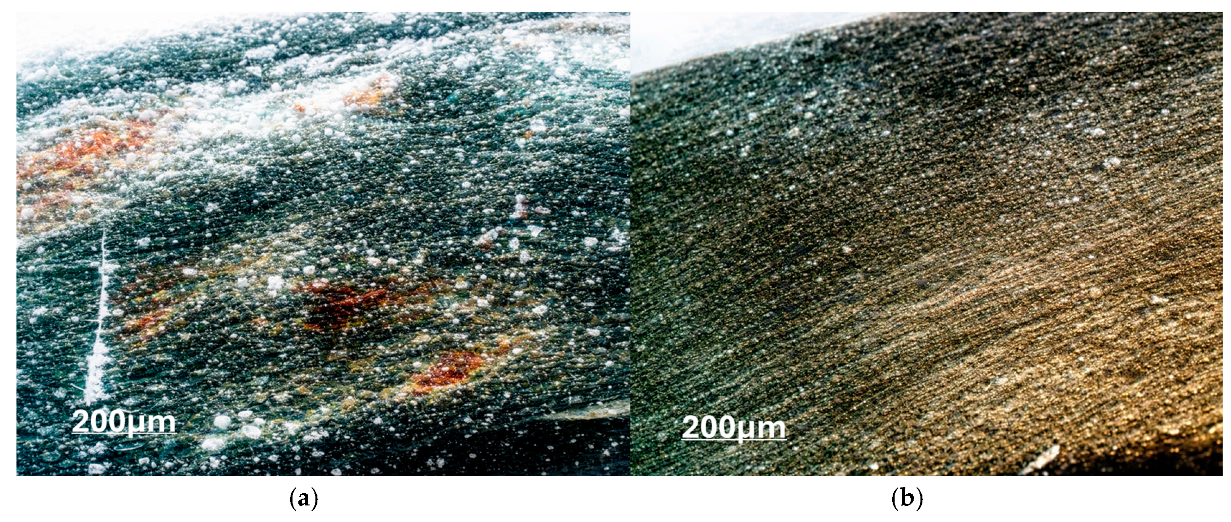 Materials 19 04336 g010