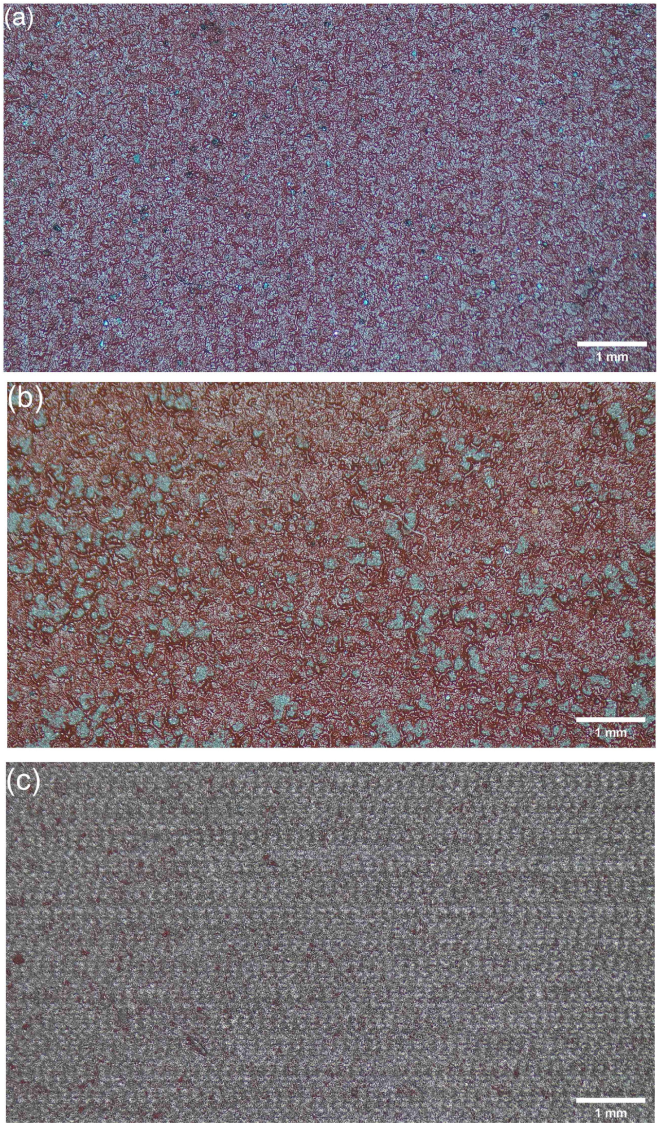 Materials 19 04338 g005a Materials 19 04338 g005a