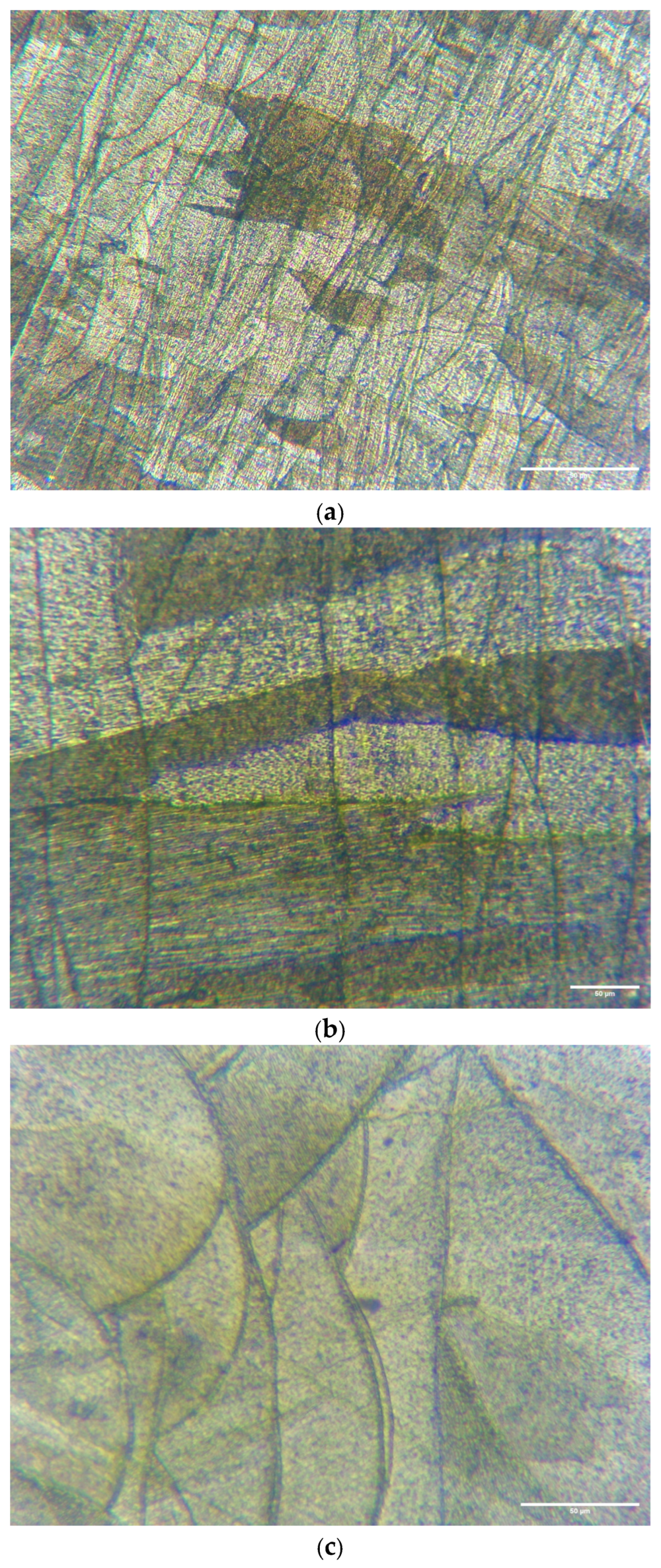 Materials 19 04388 g005 Materials 19 04388 g005