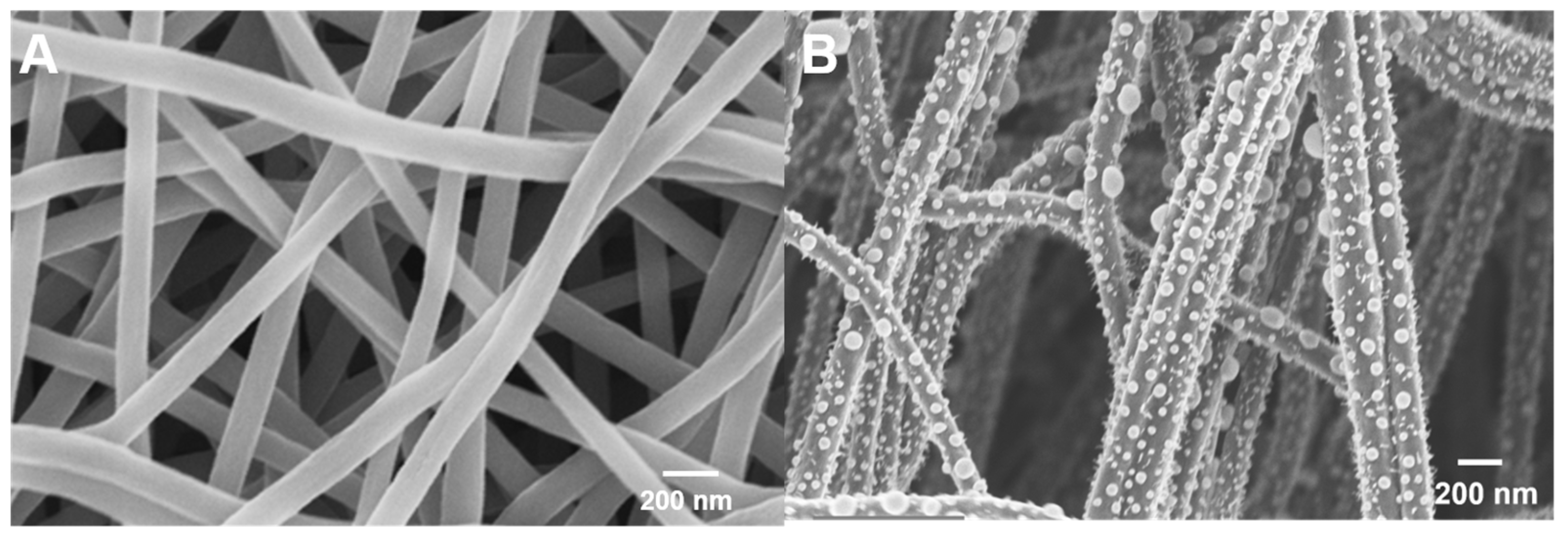 Materials 19 04402 g001 Materials 19 04402 g001
