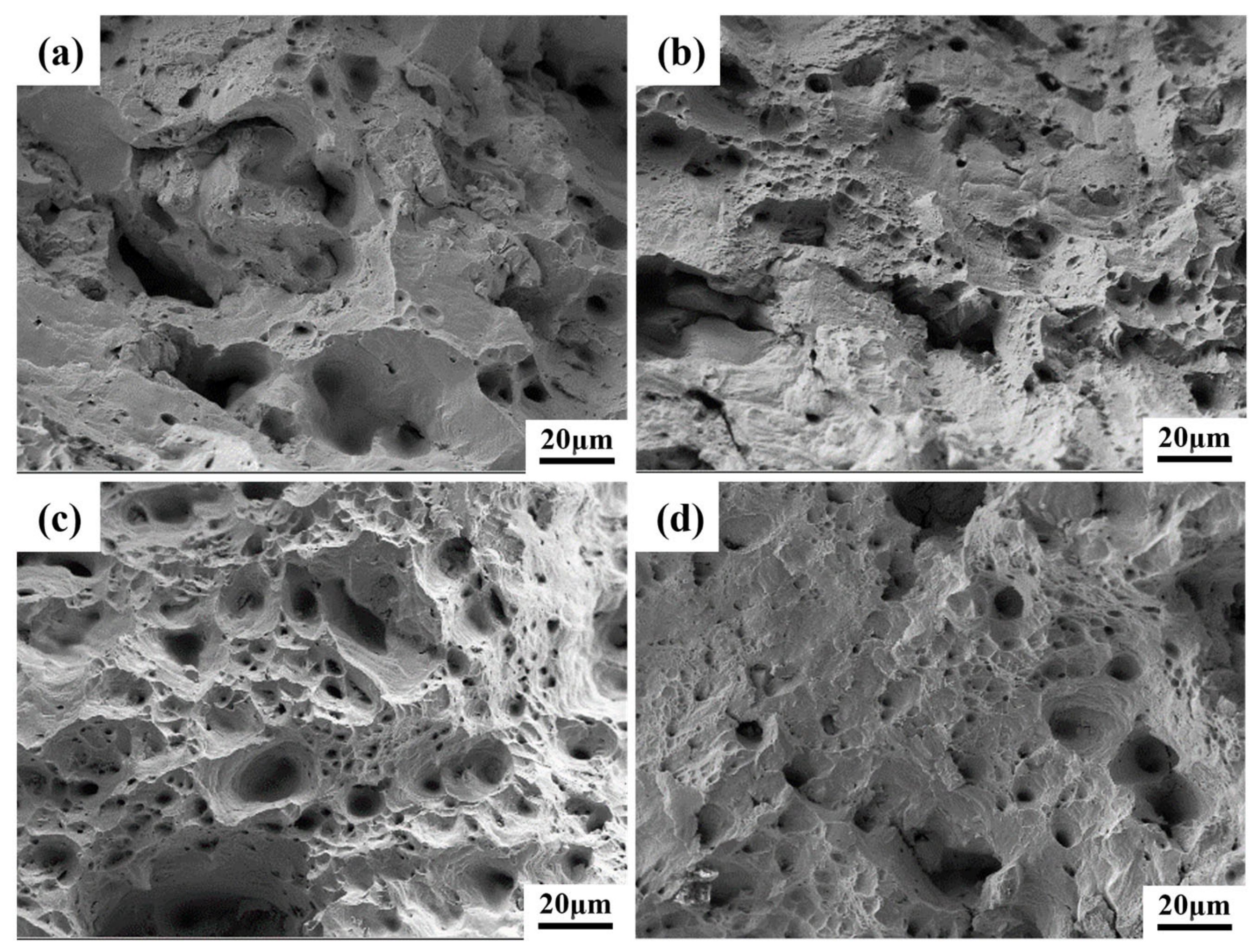 Materials 19 04432 g014