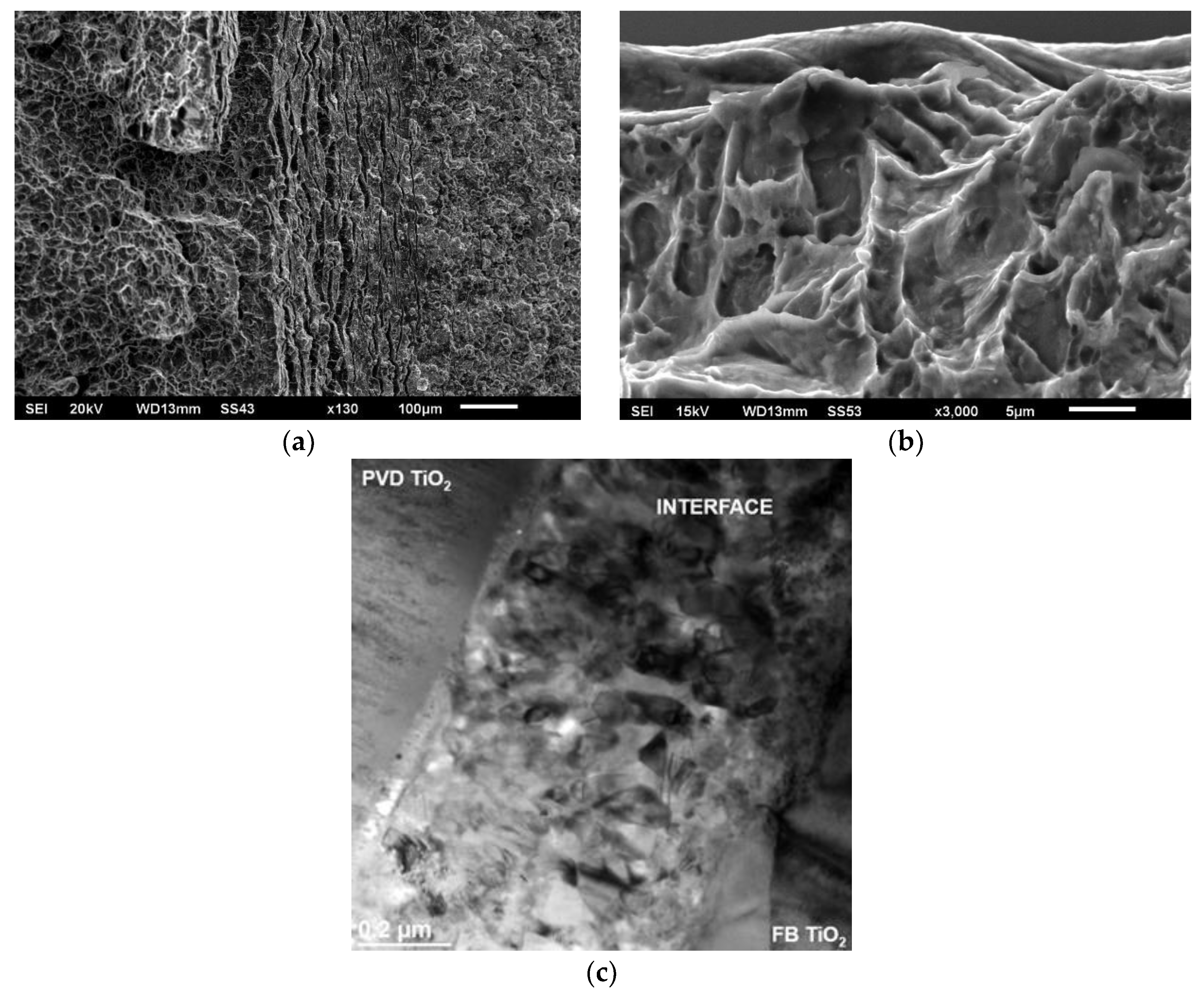 Materproc 02 00008 g001